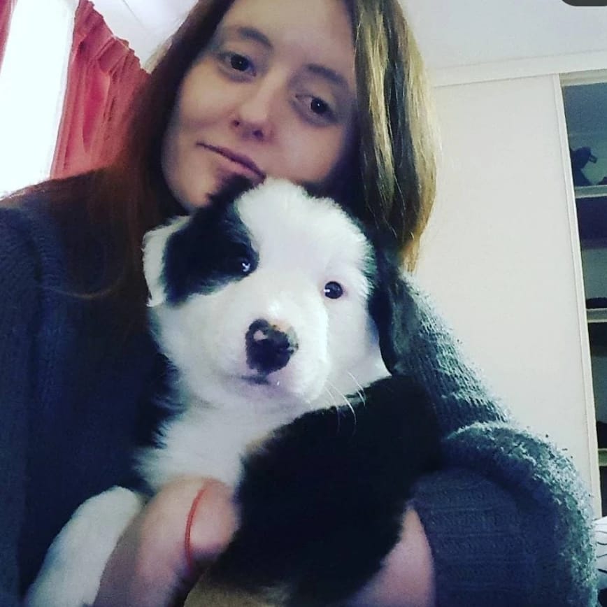 arlo