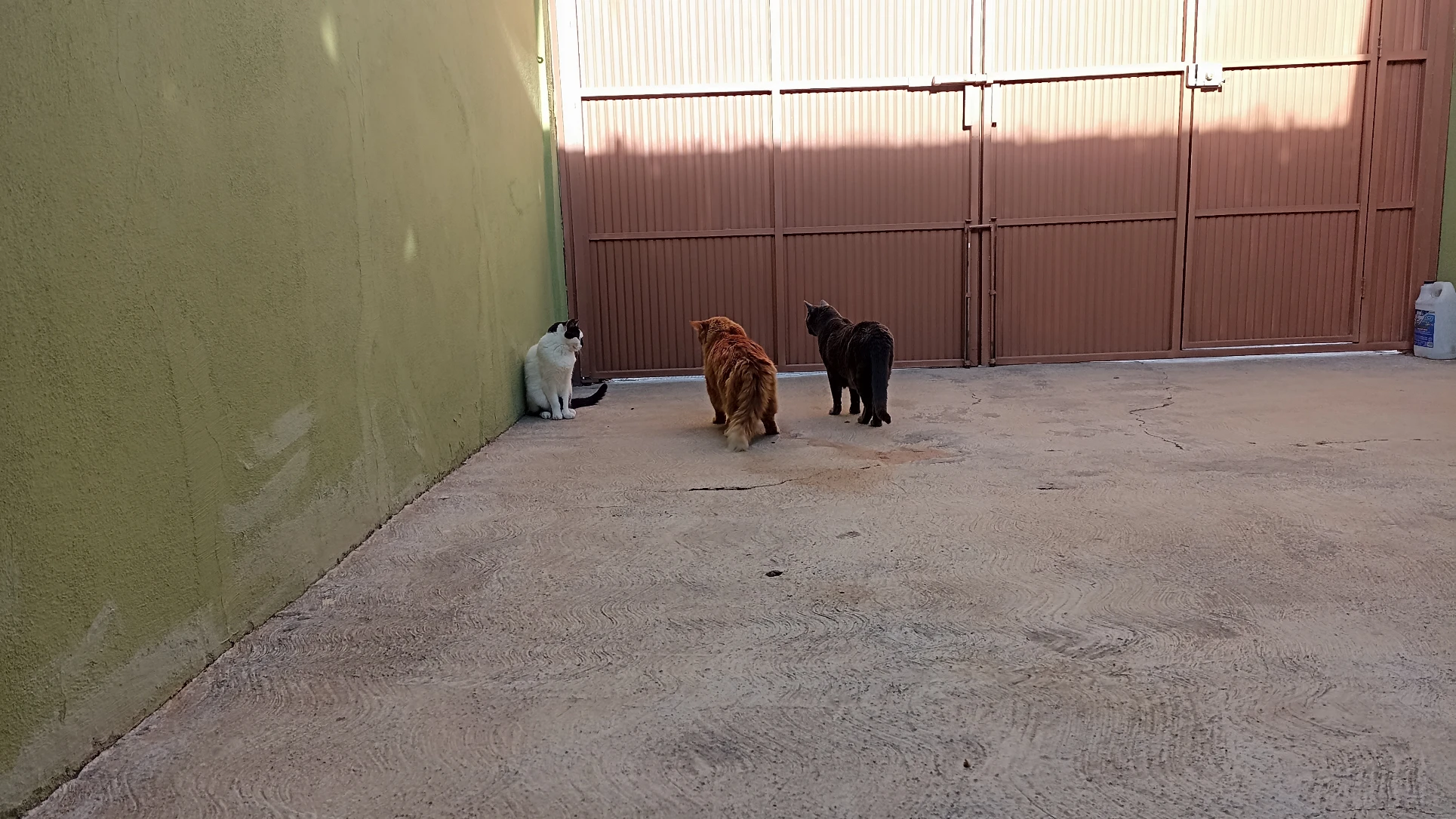 image-7