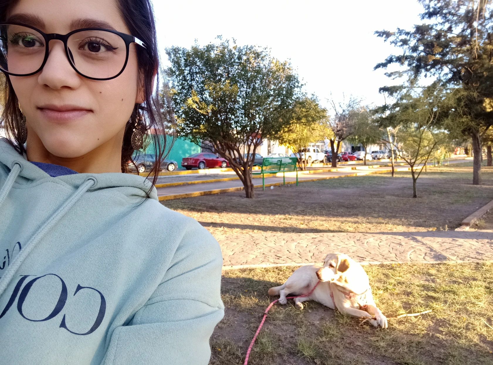 image-6
