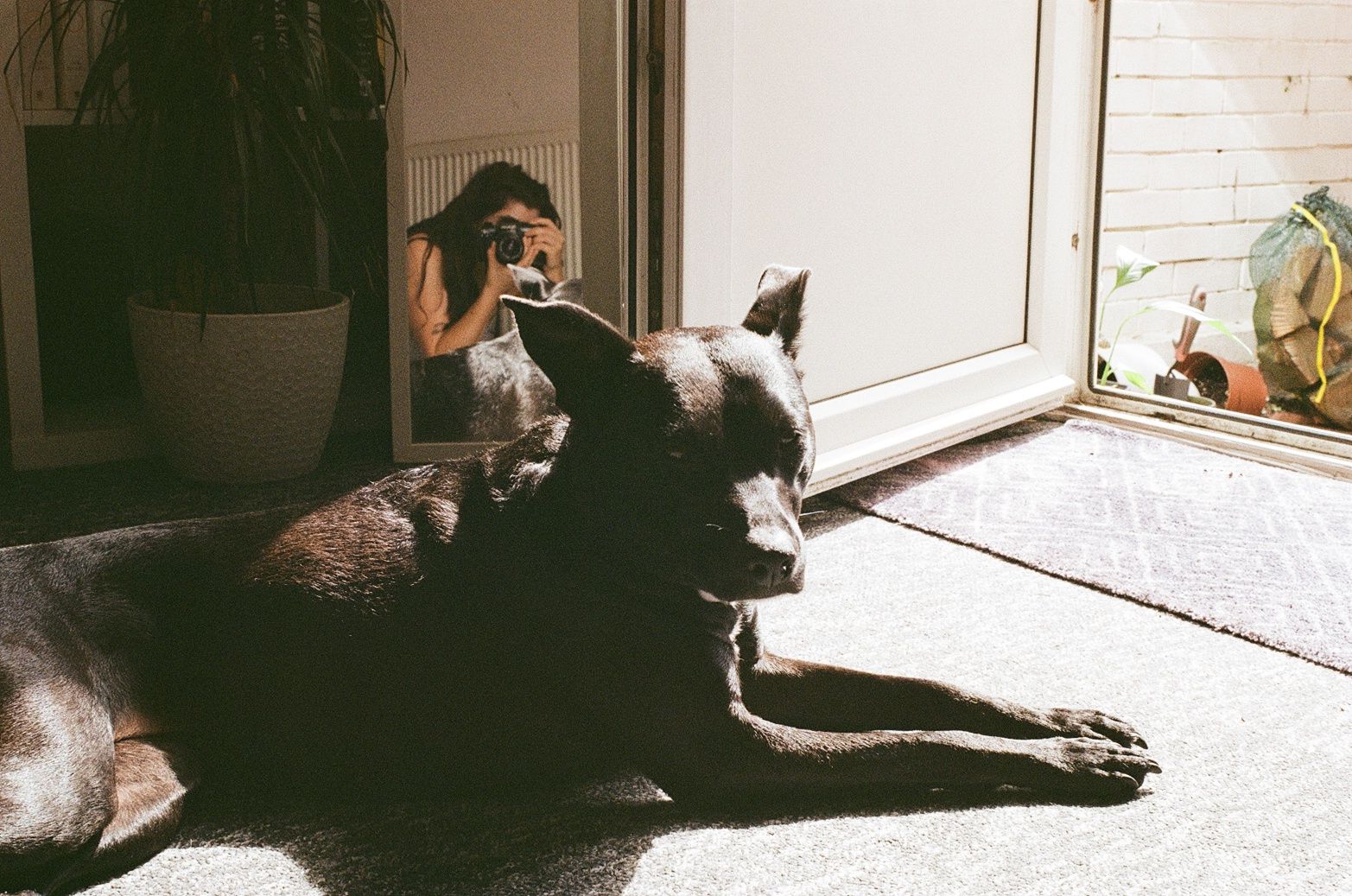 image-7