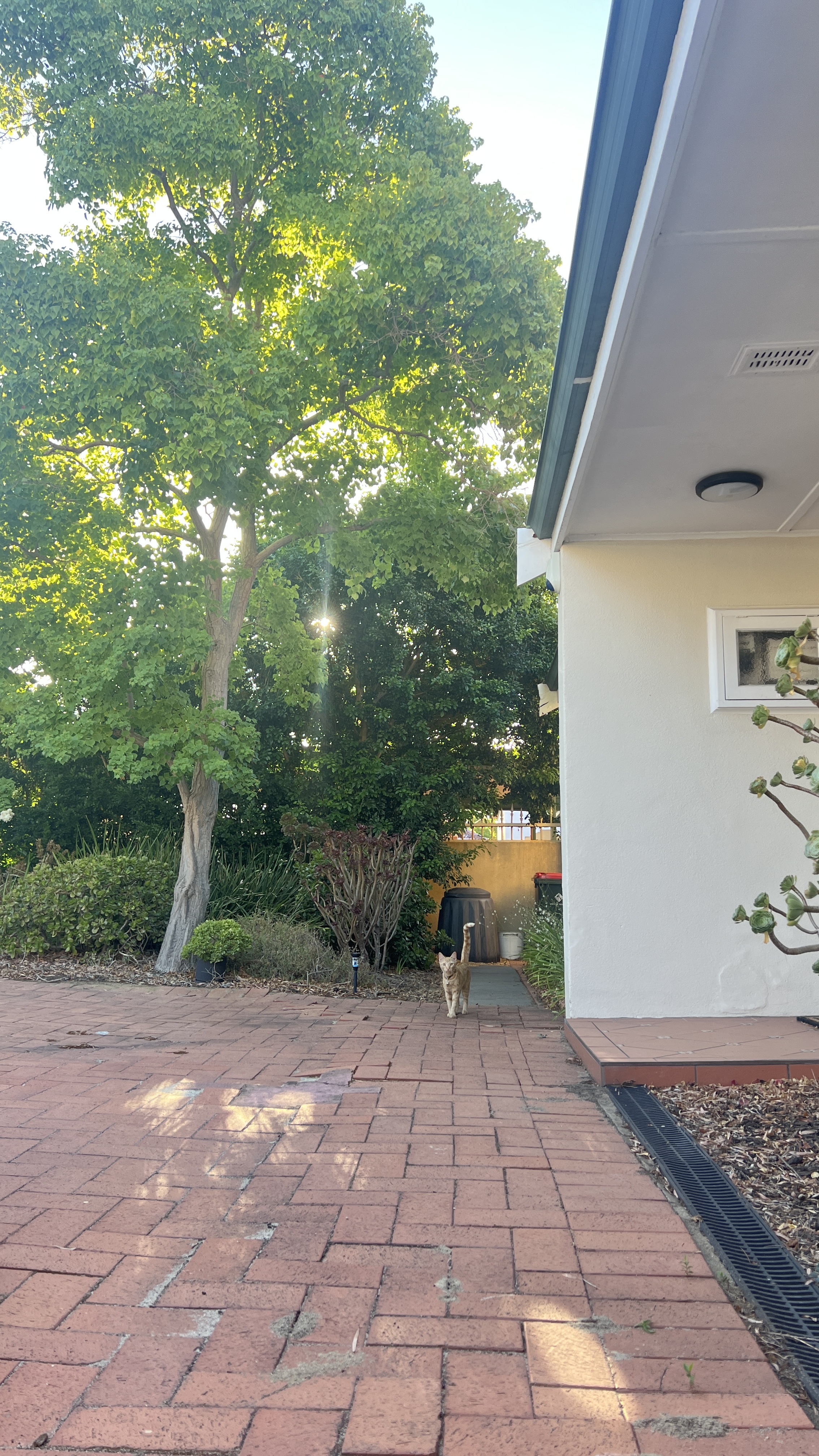 image-20