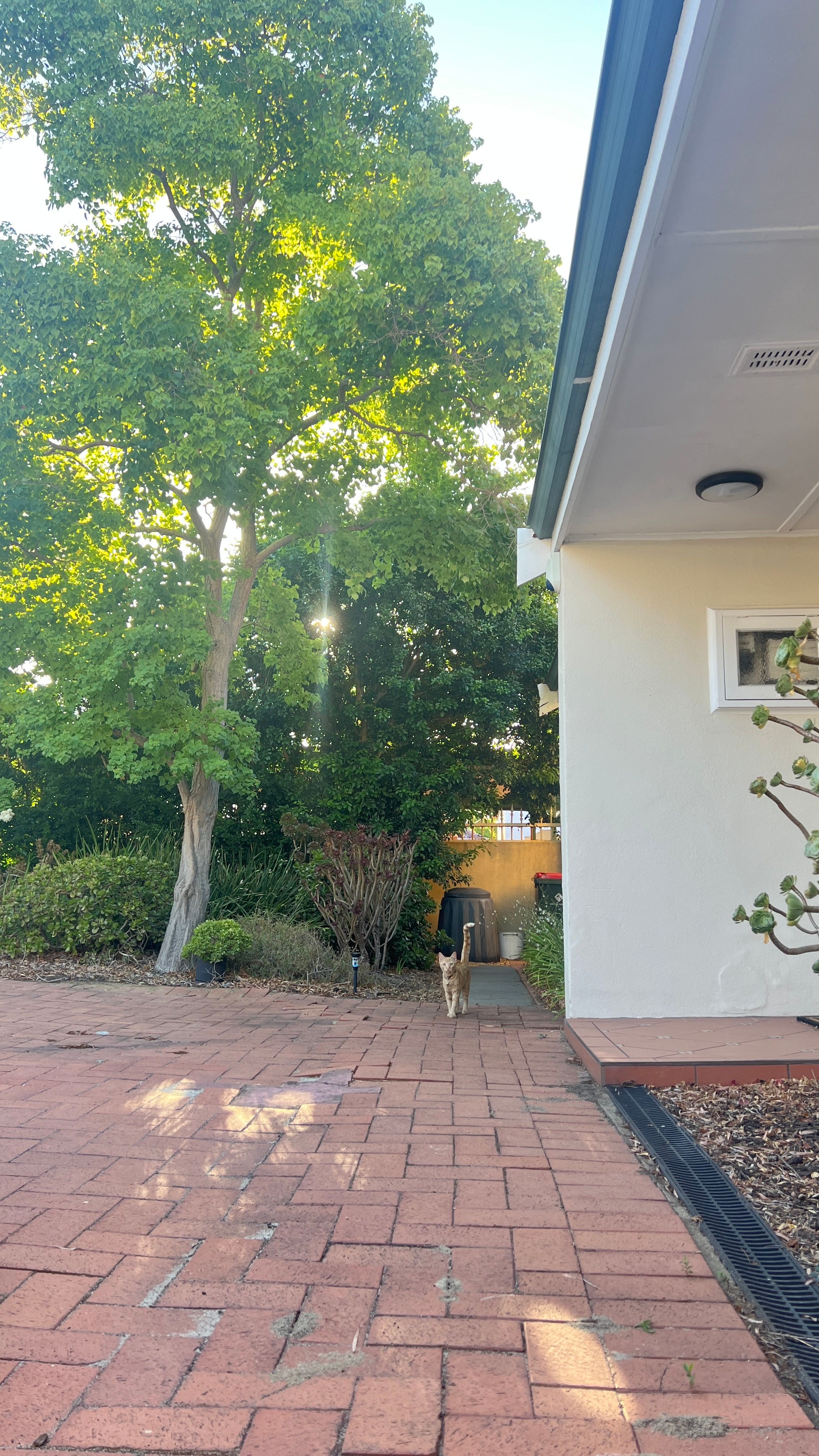 image-20