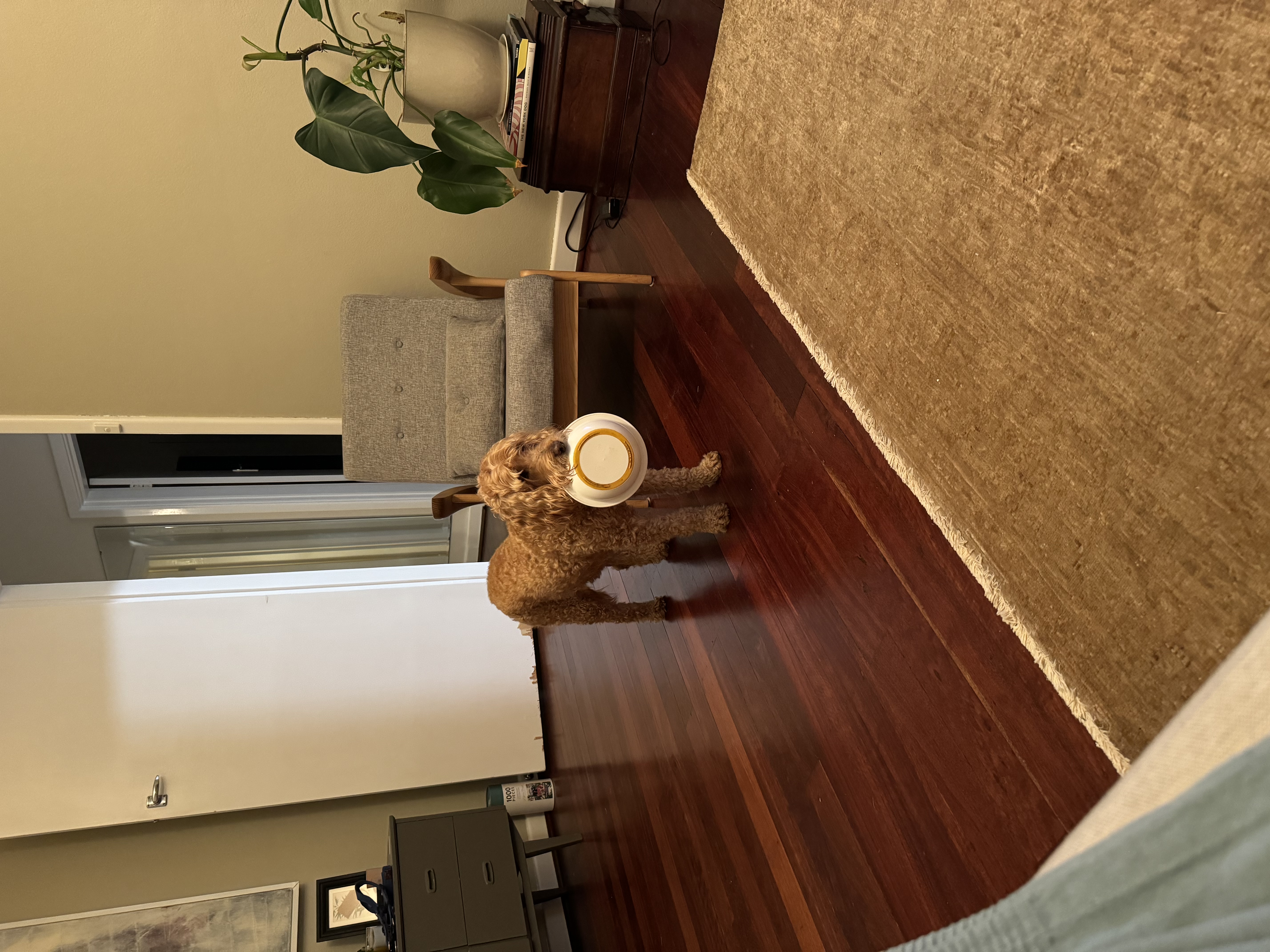 image-16
