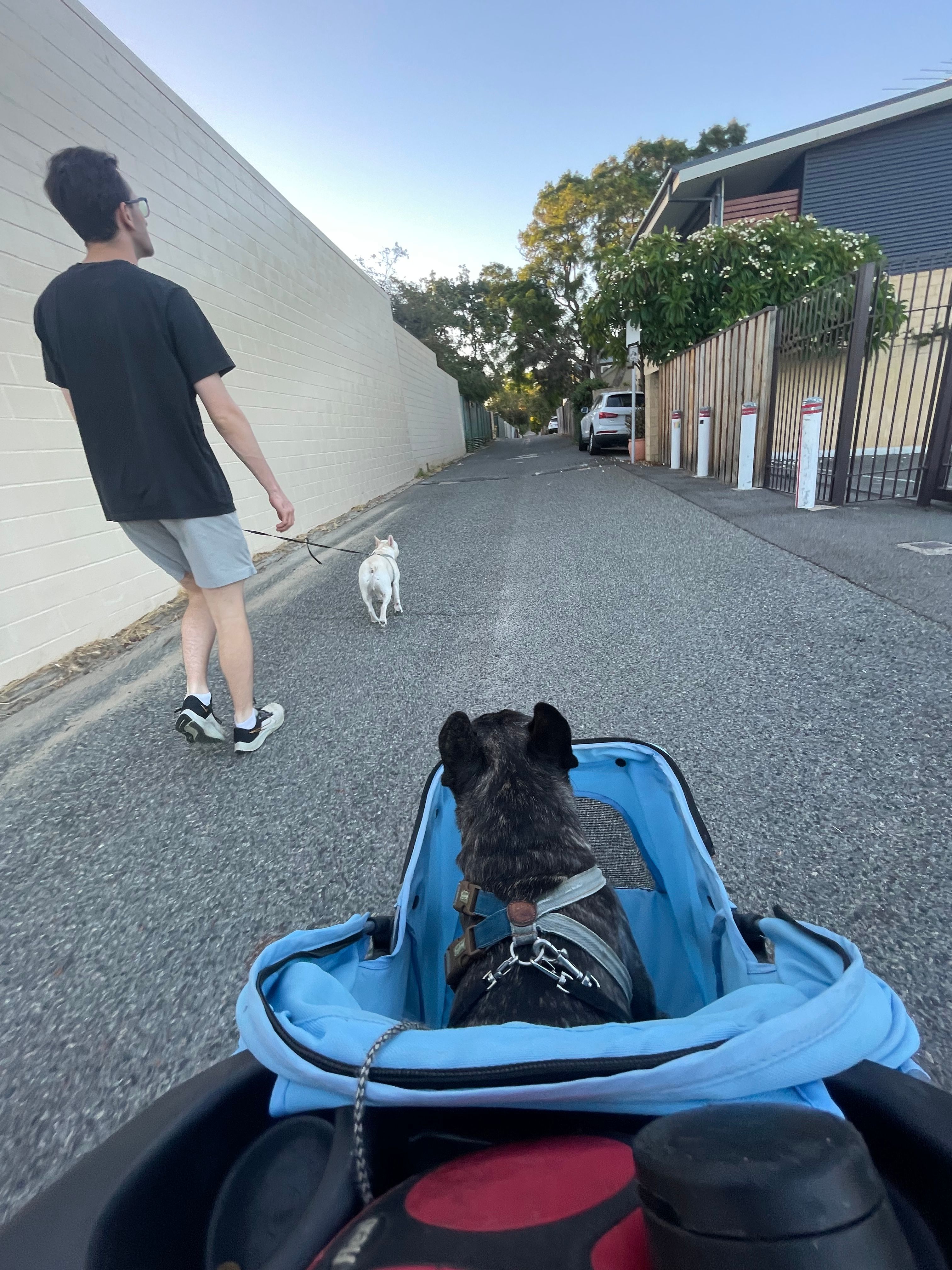 image-8