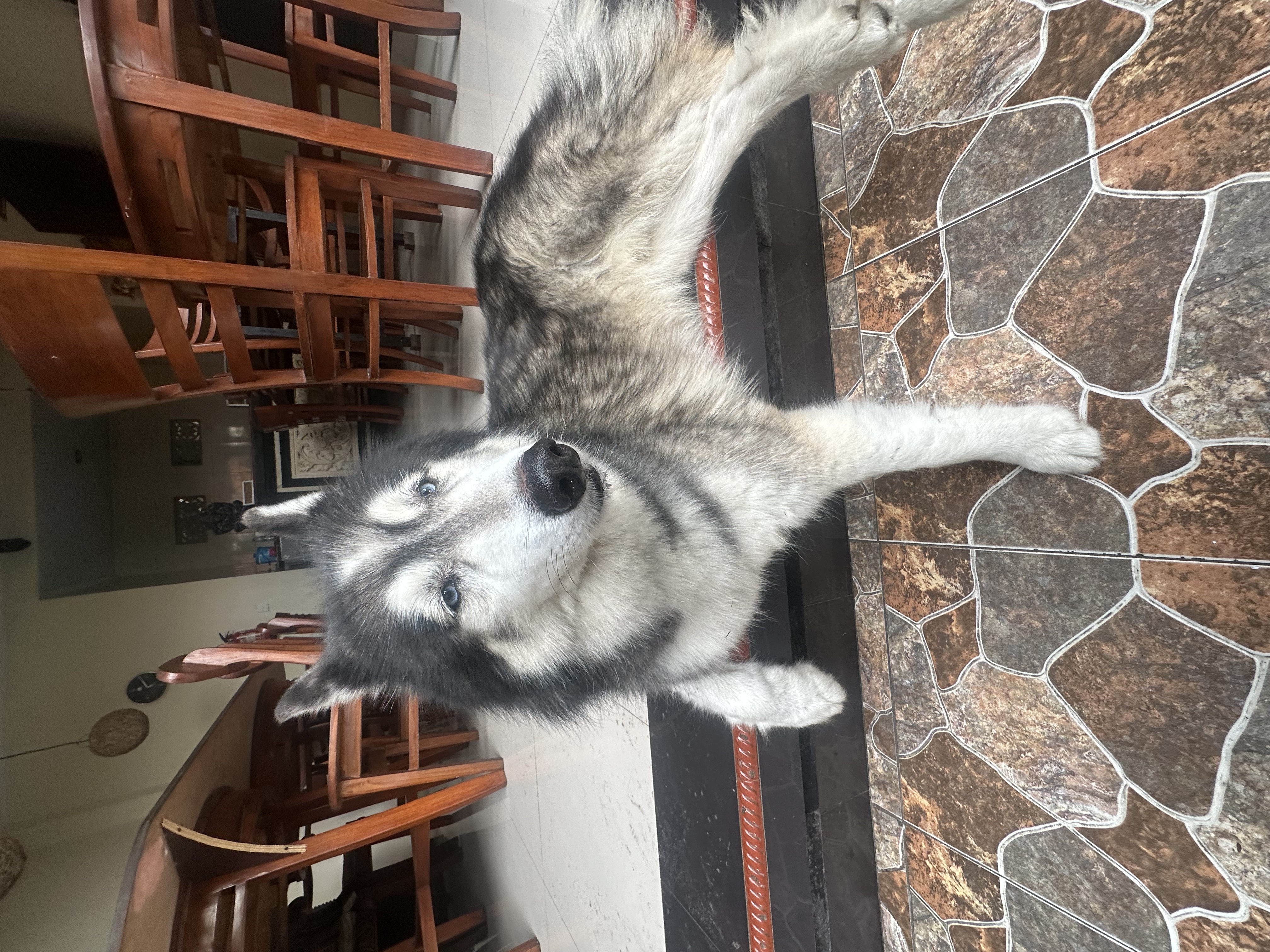 image-11