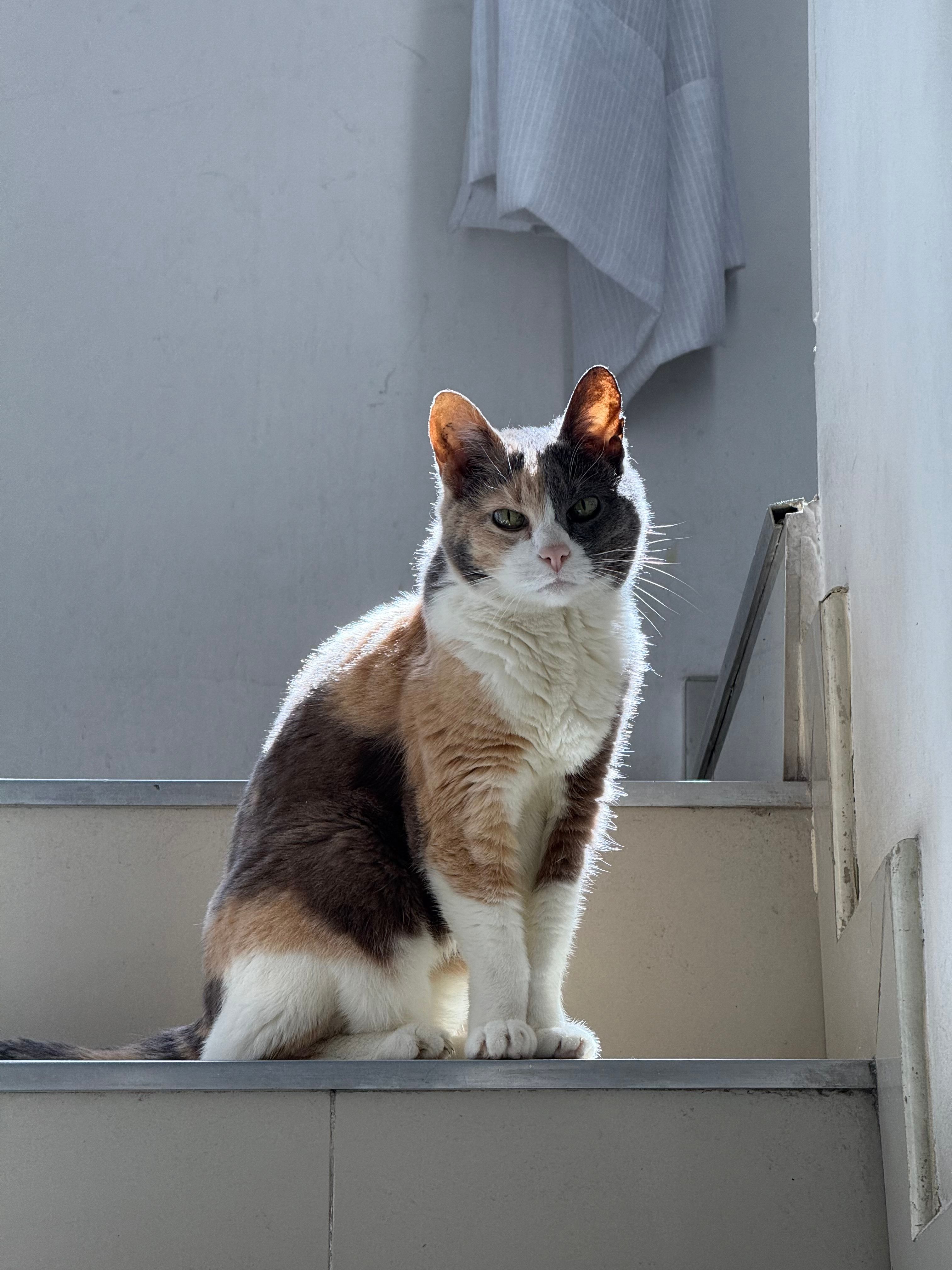 image-10