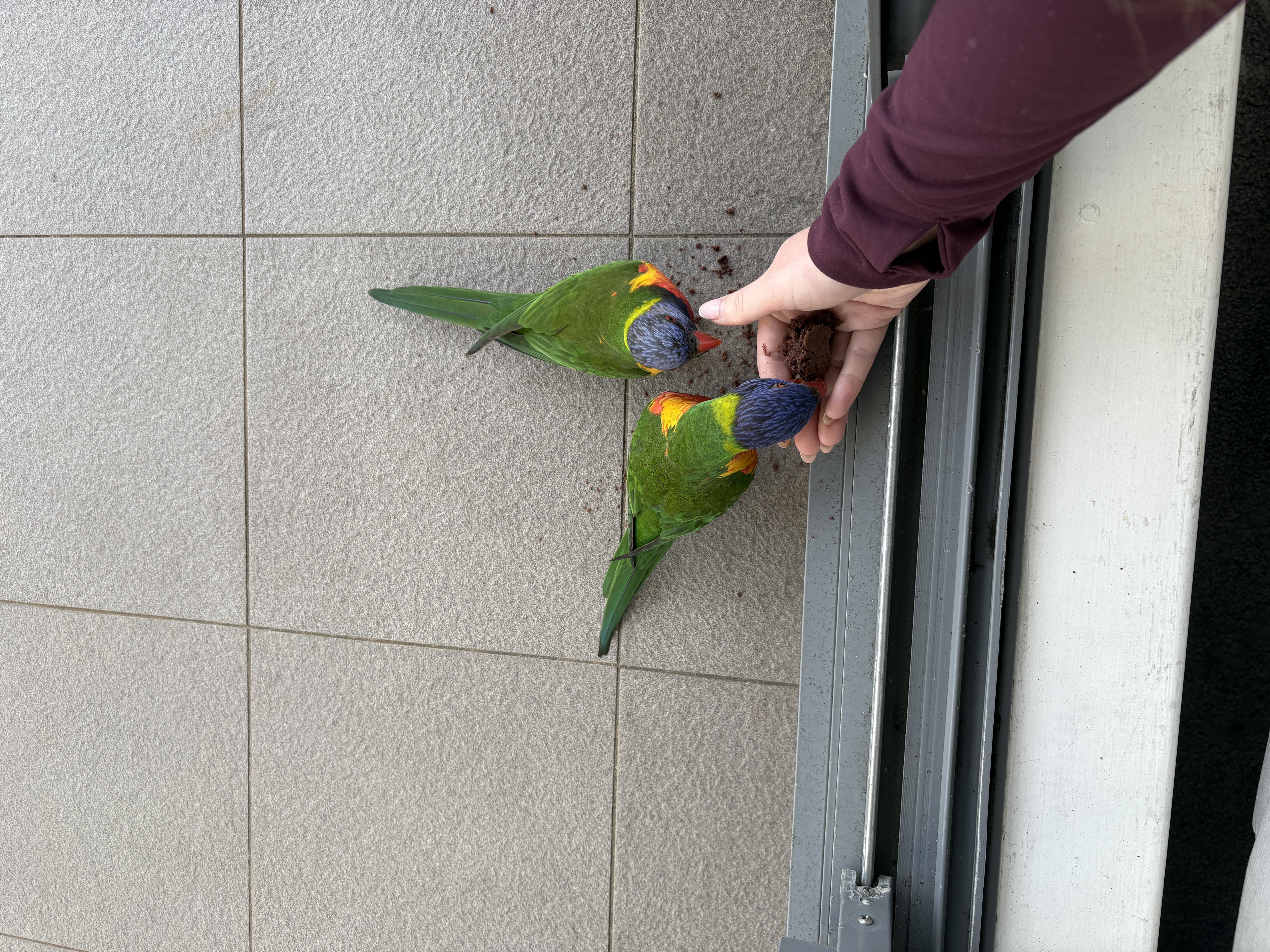 image-13