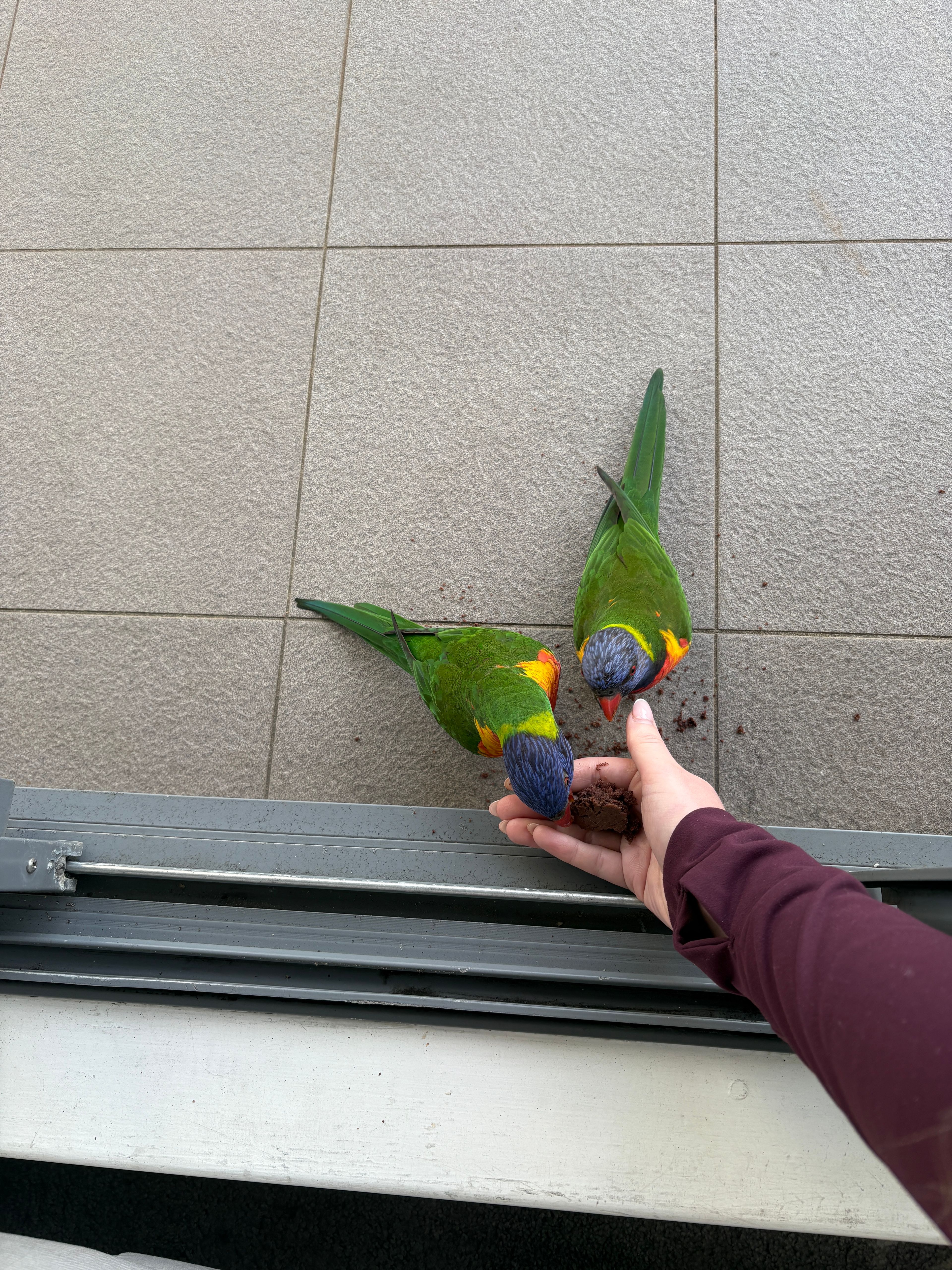 image-13