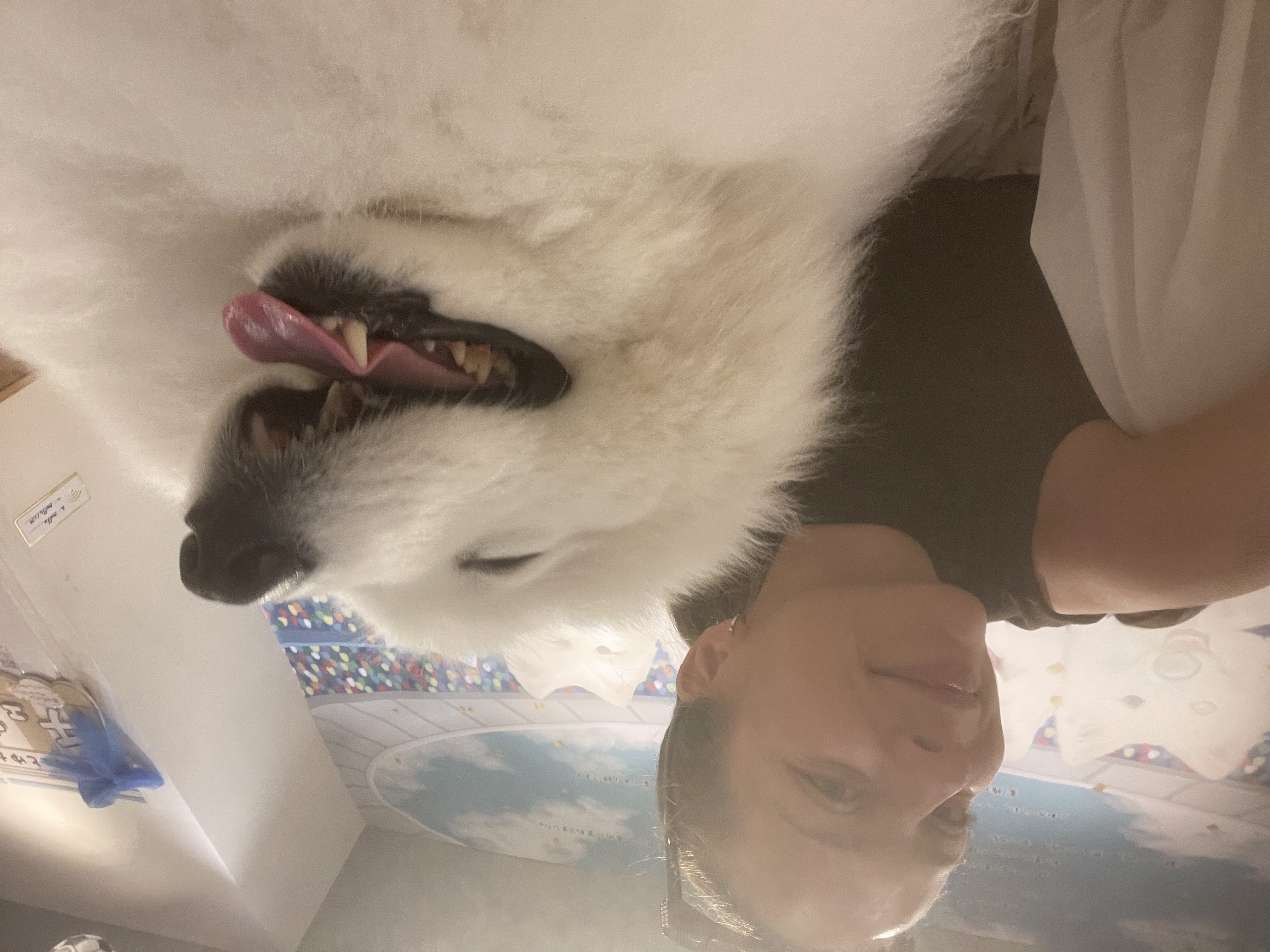 image-7