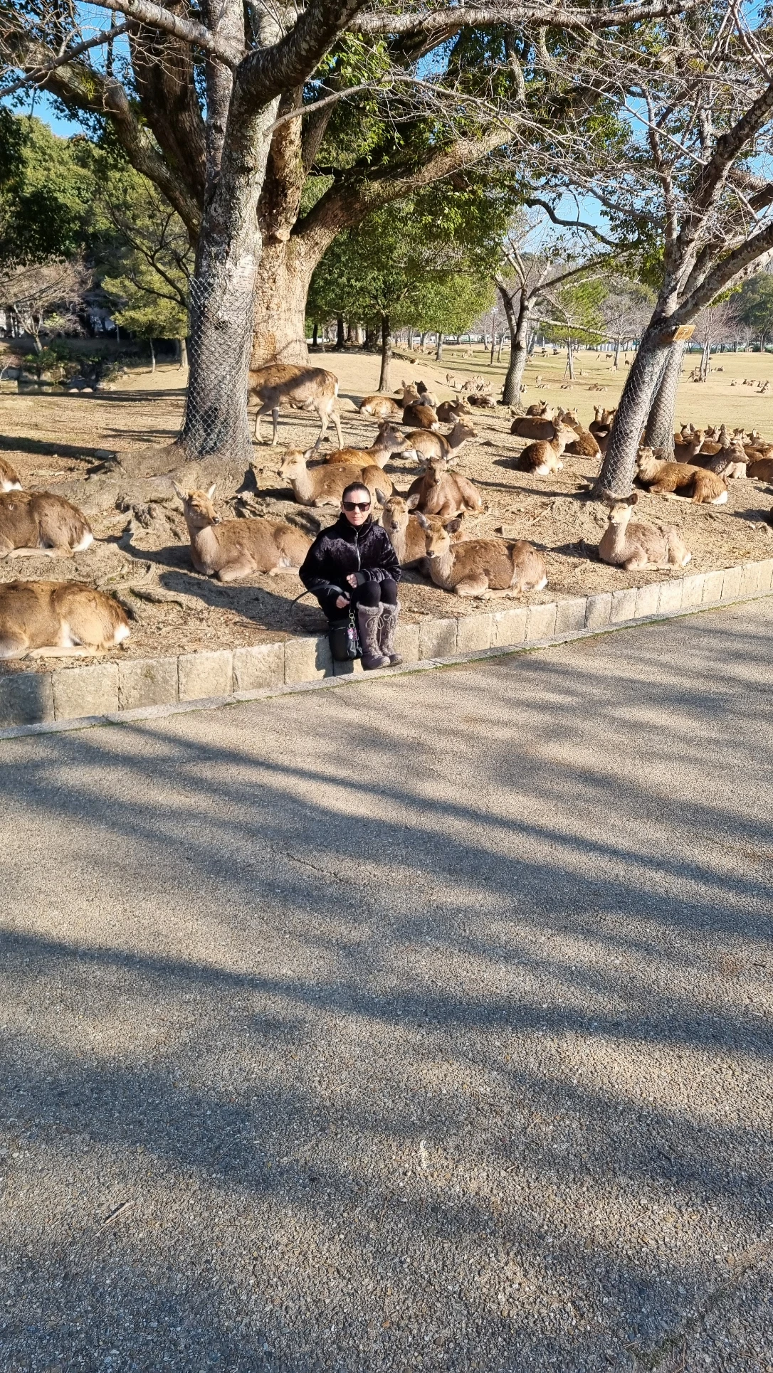 image-10