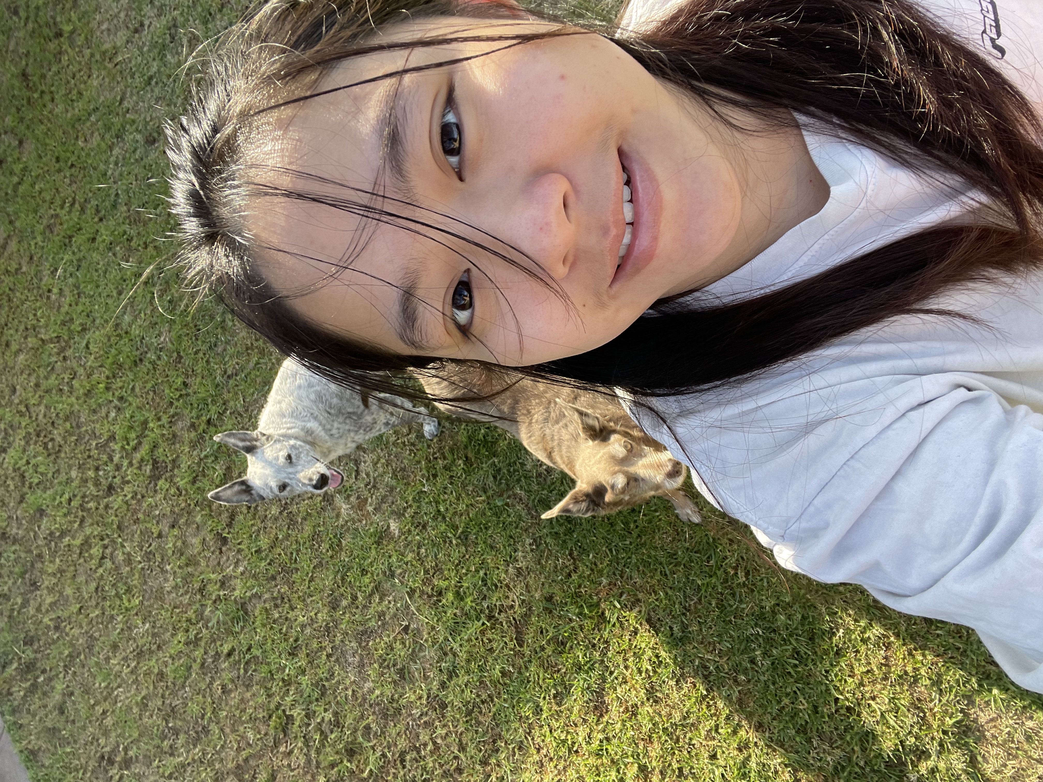 image-0