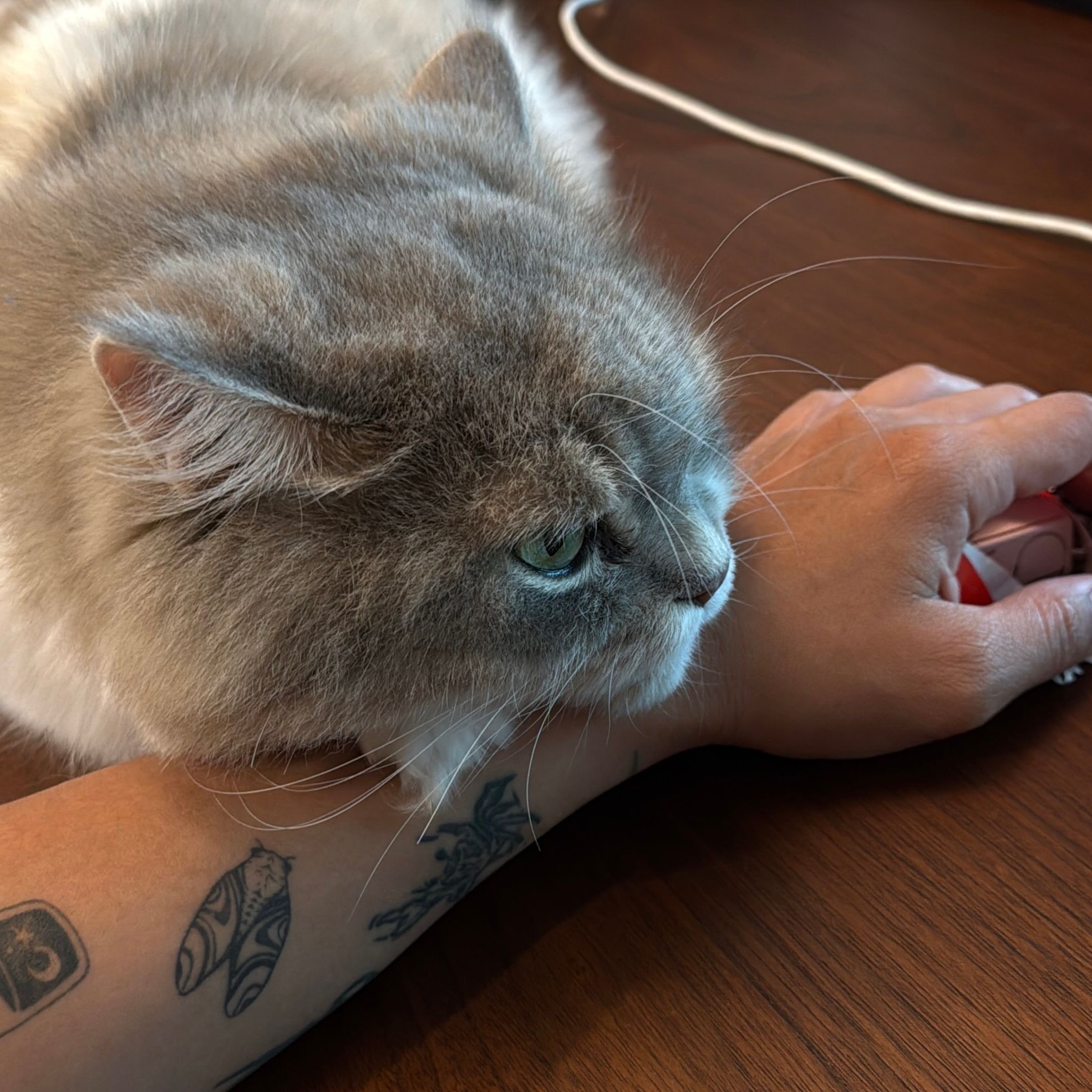 Milo