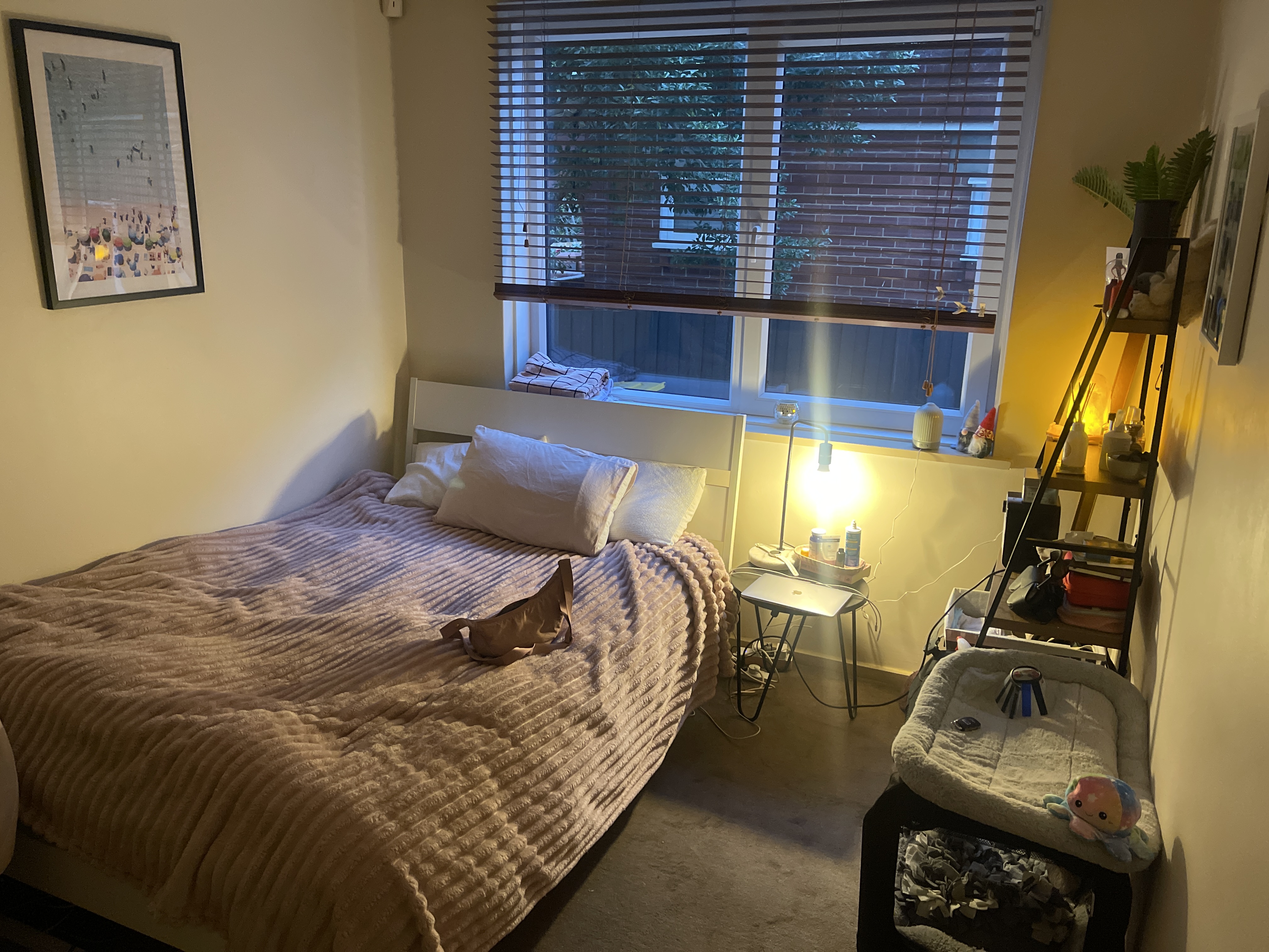image-41