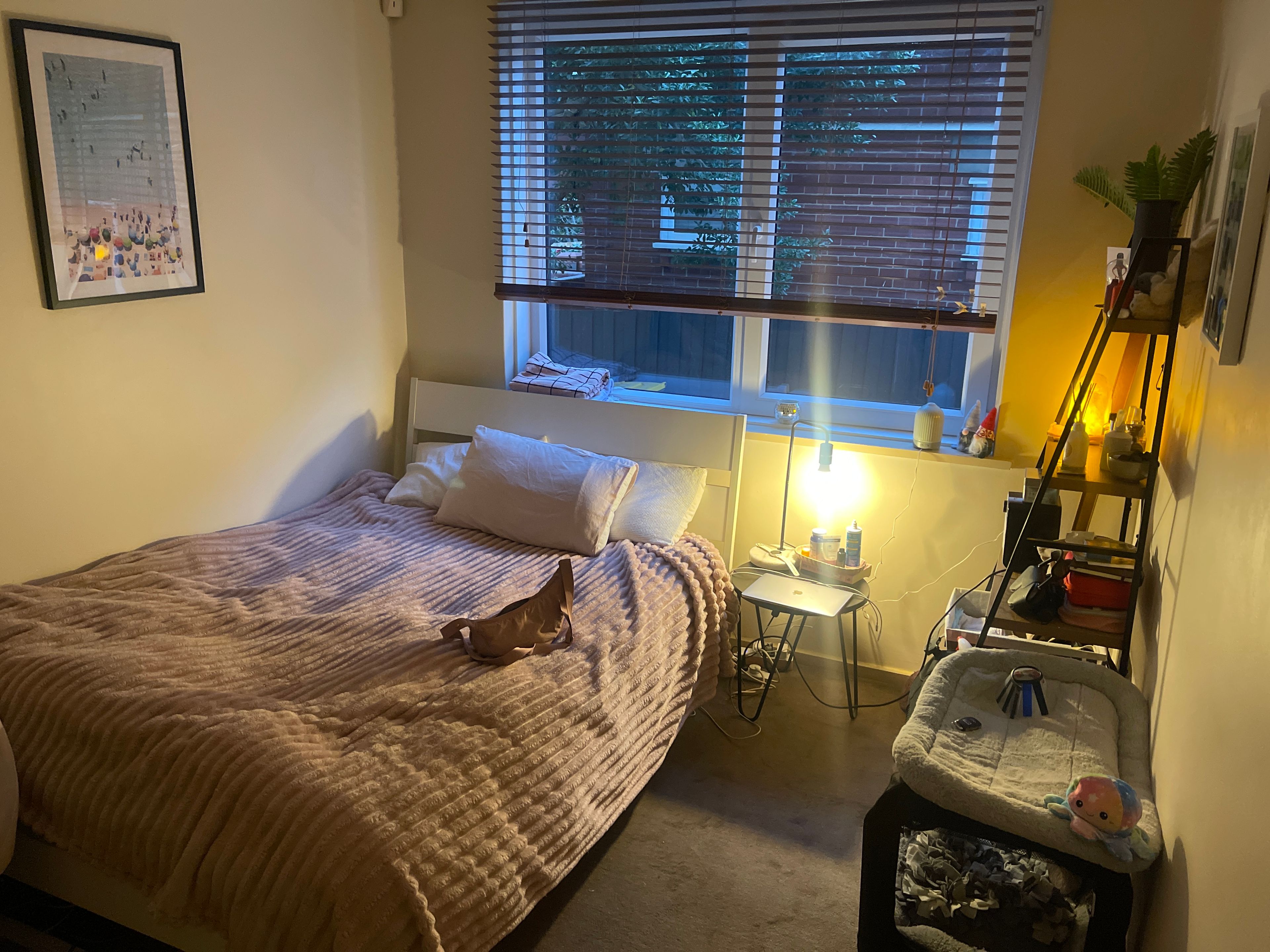 image-41