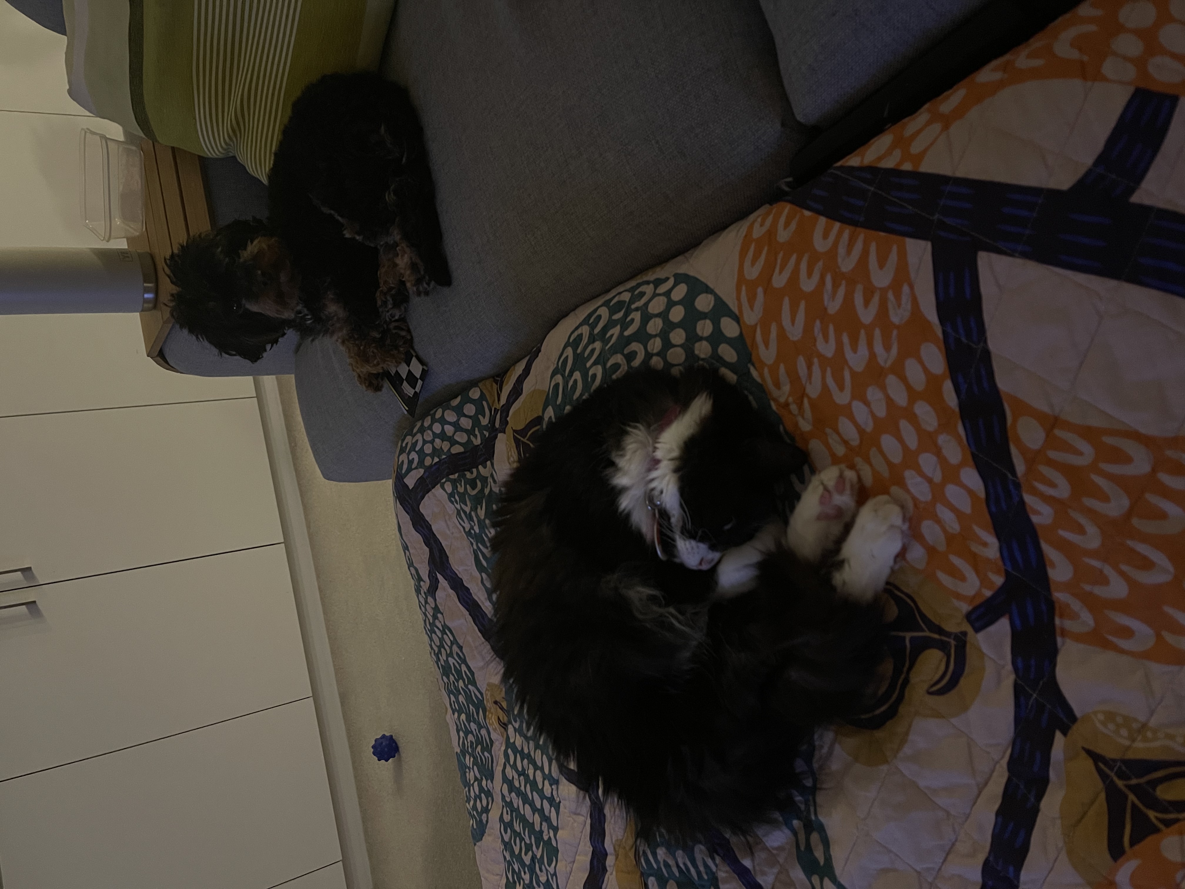 image-47