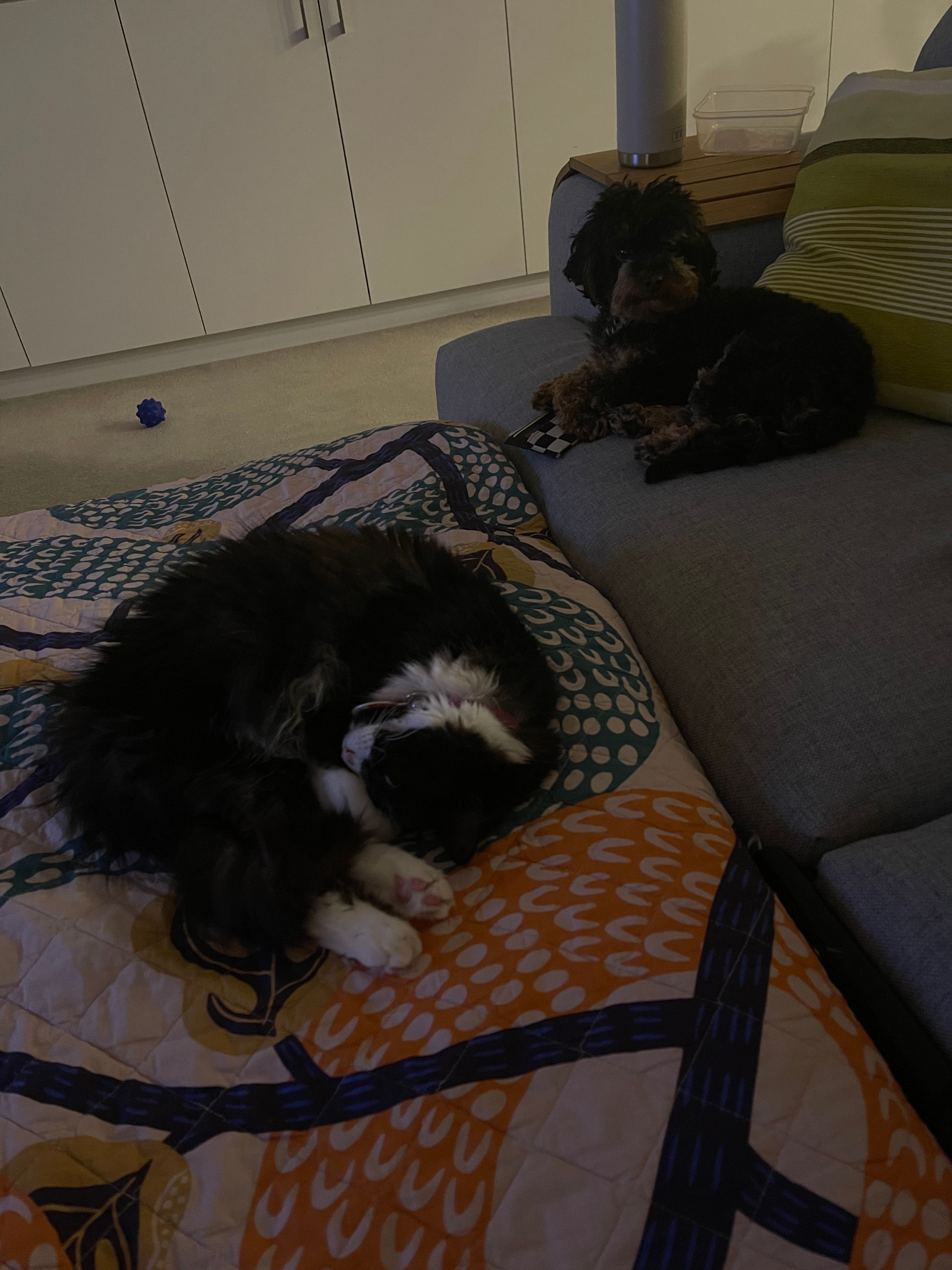 image-47