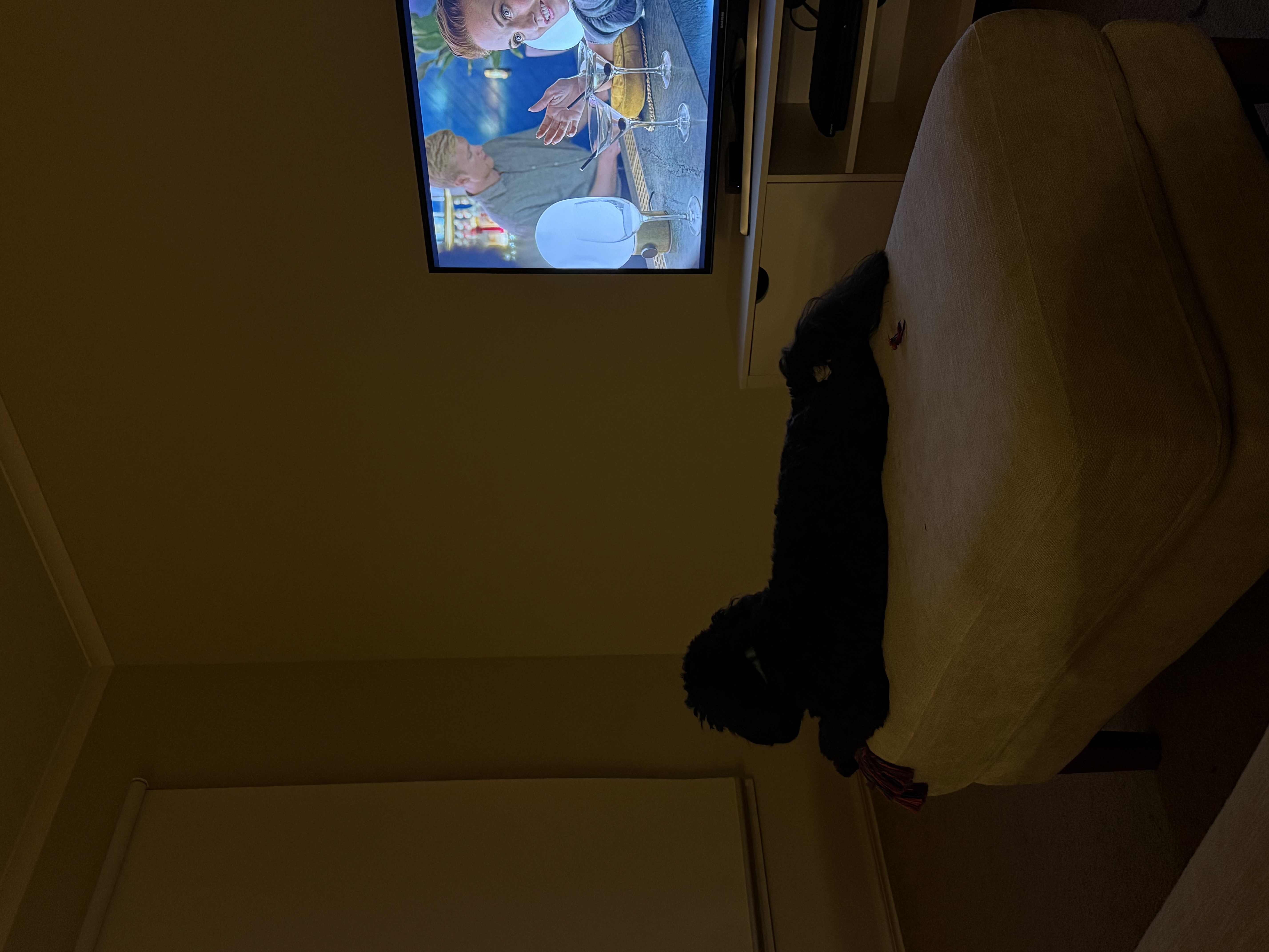 image-13