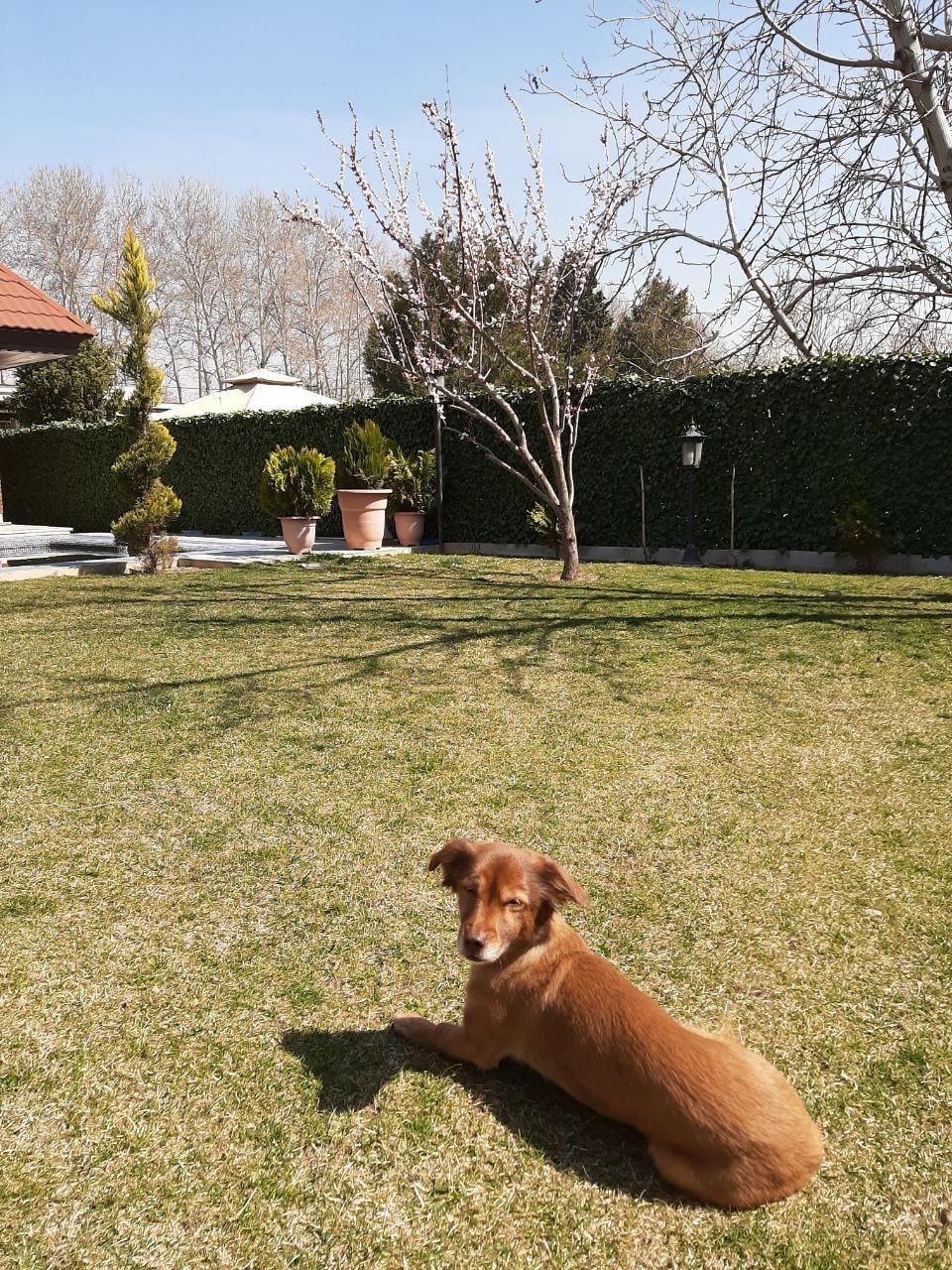 image-16