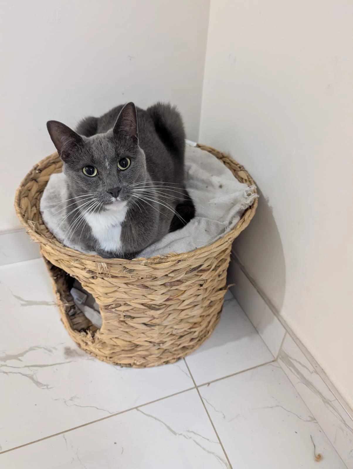 image-6