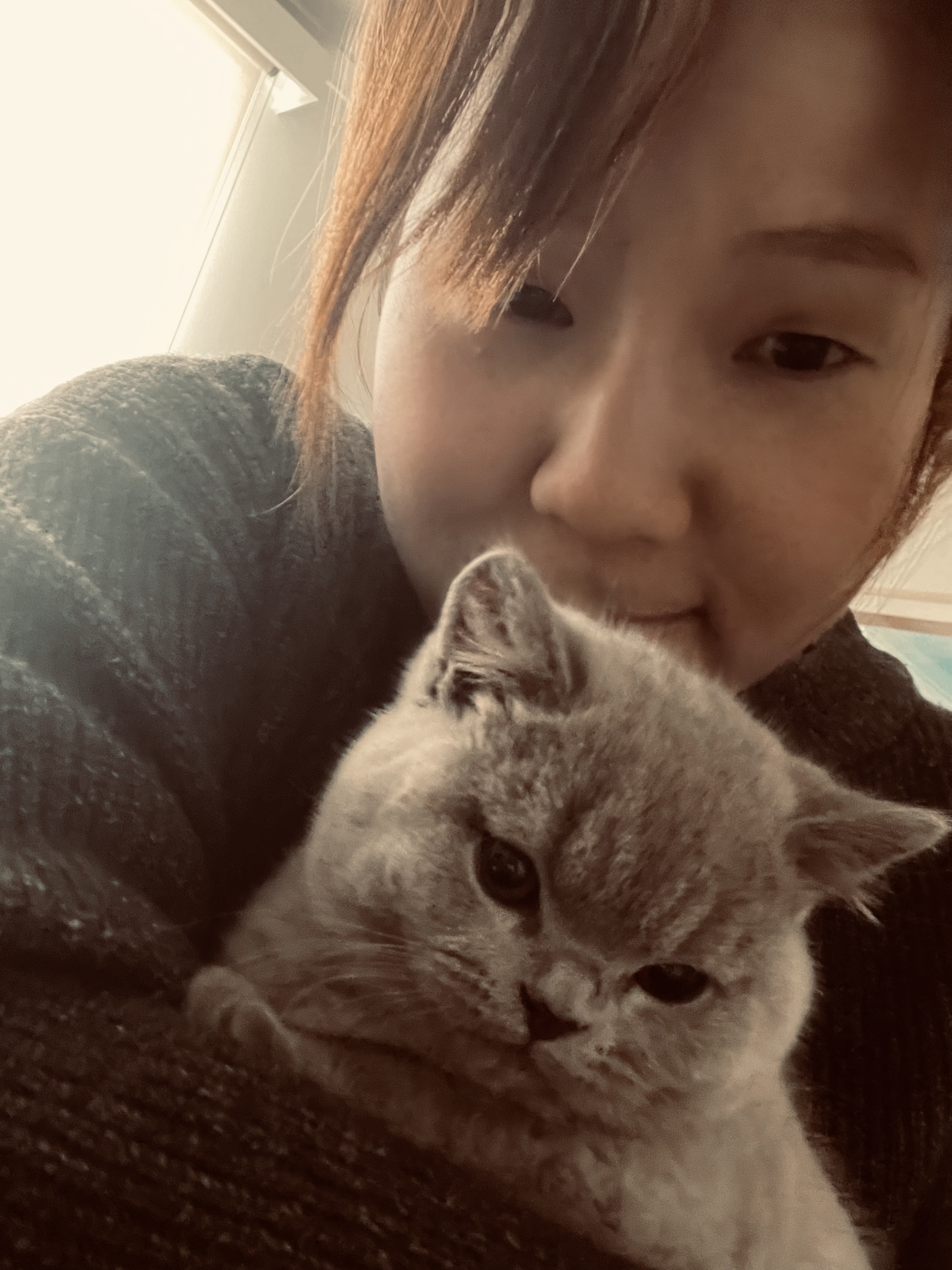 image-7