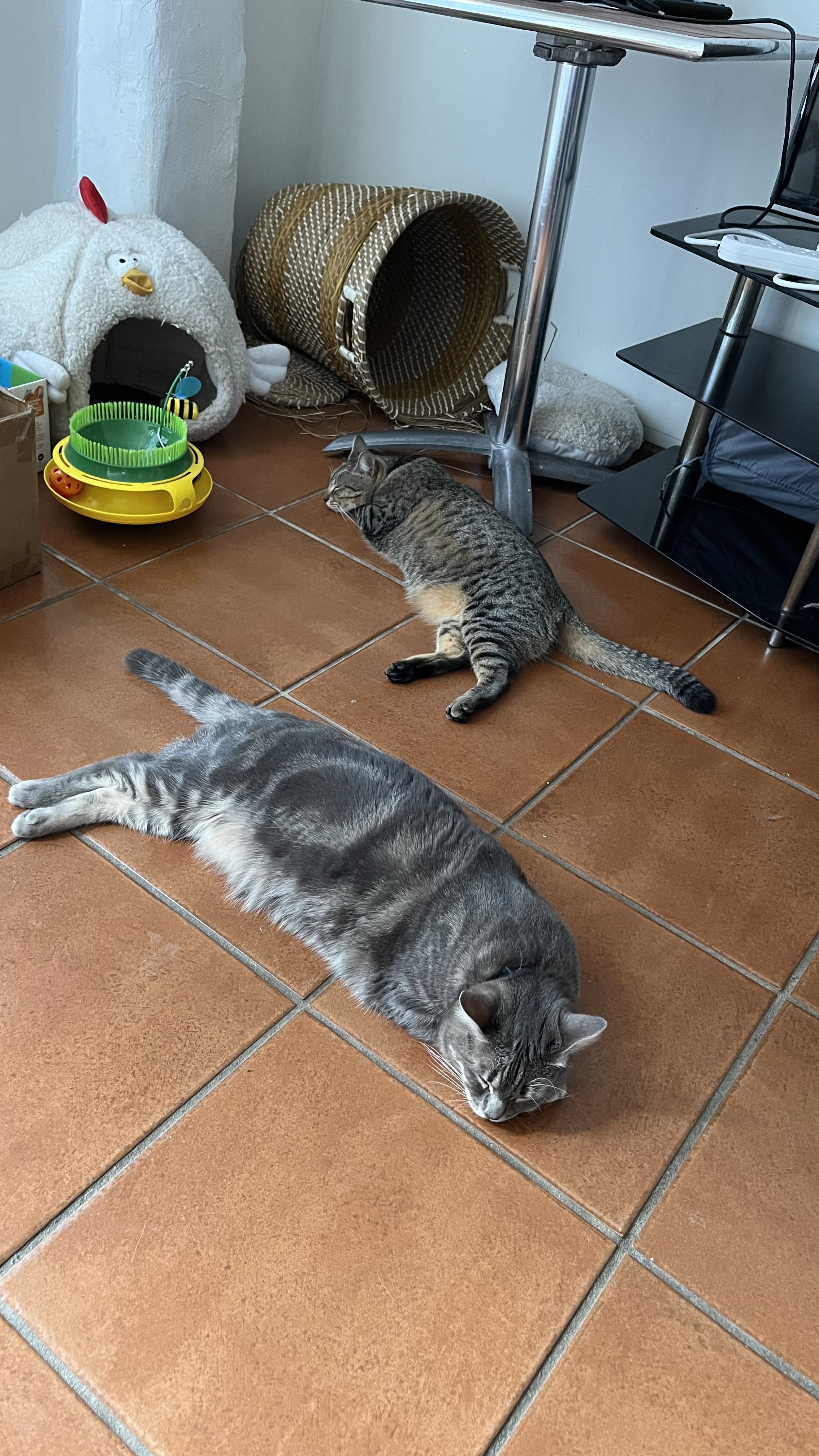 image-18