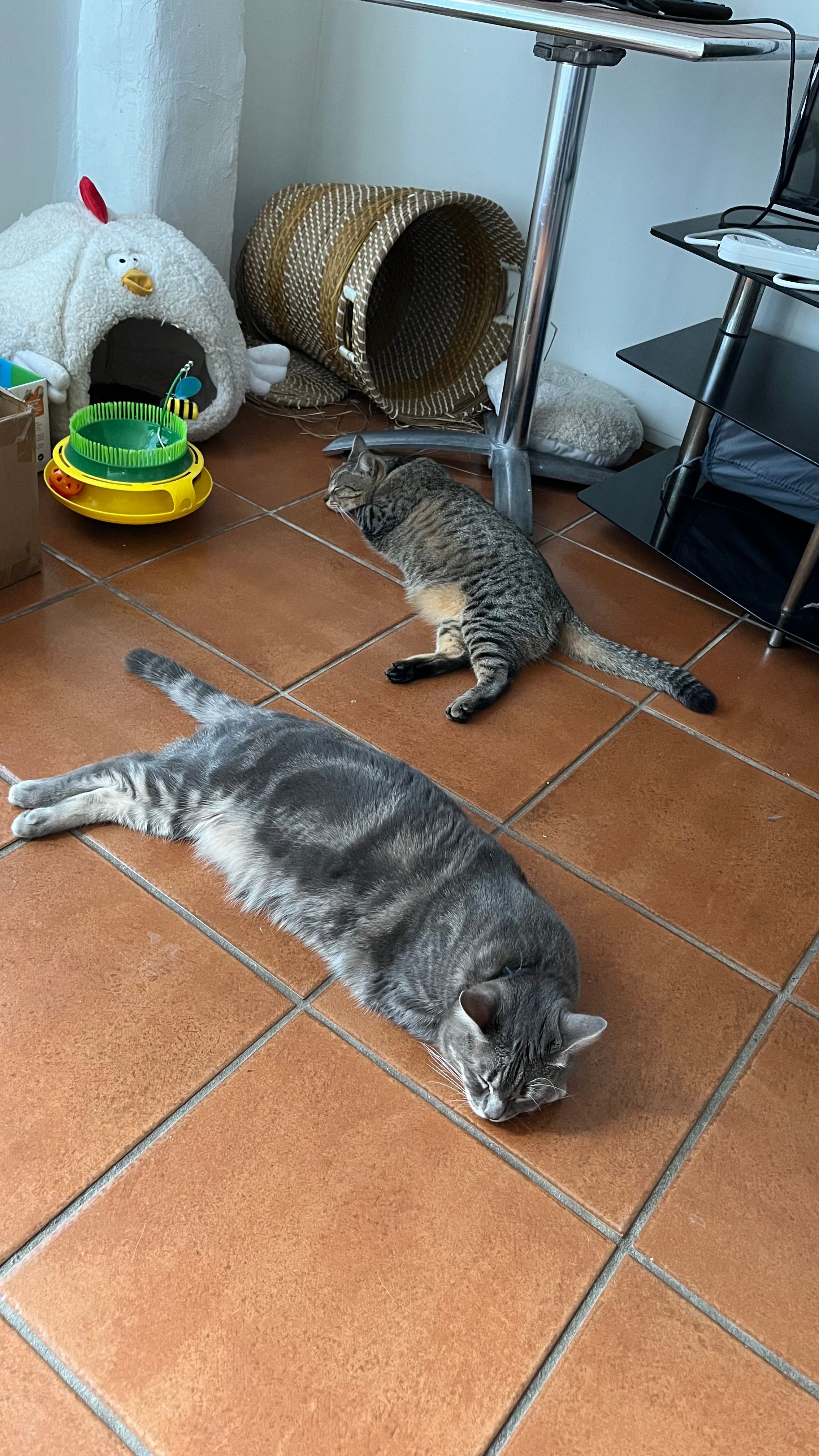 image-18