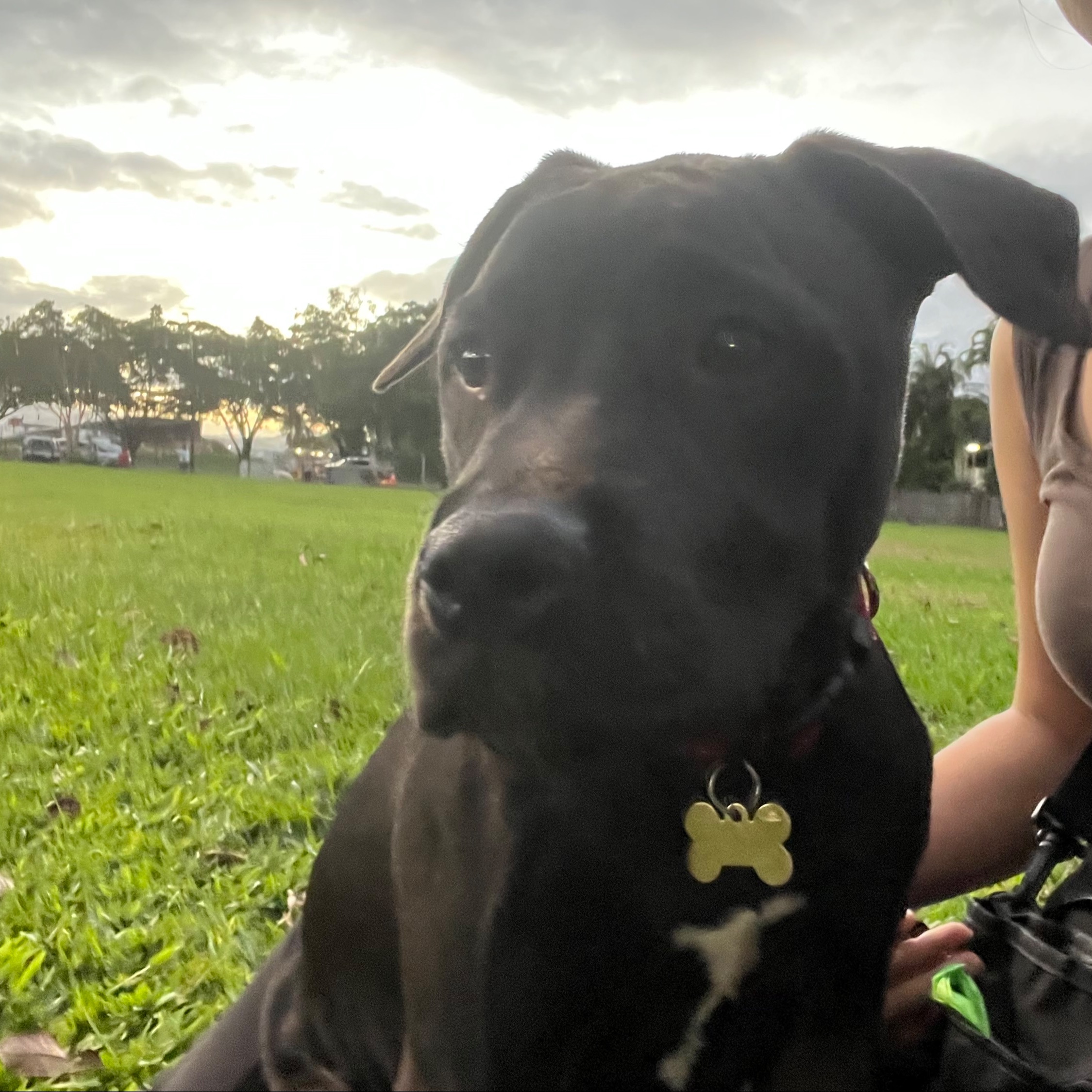 Coco
