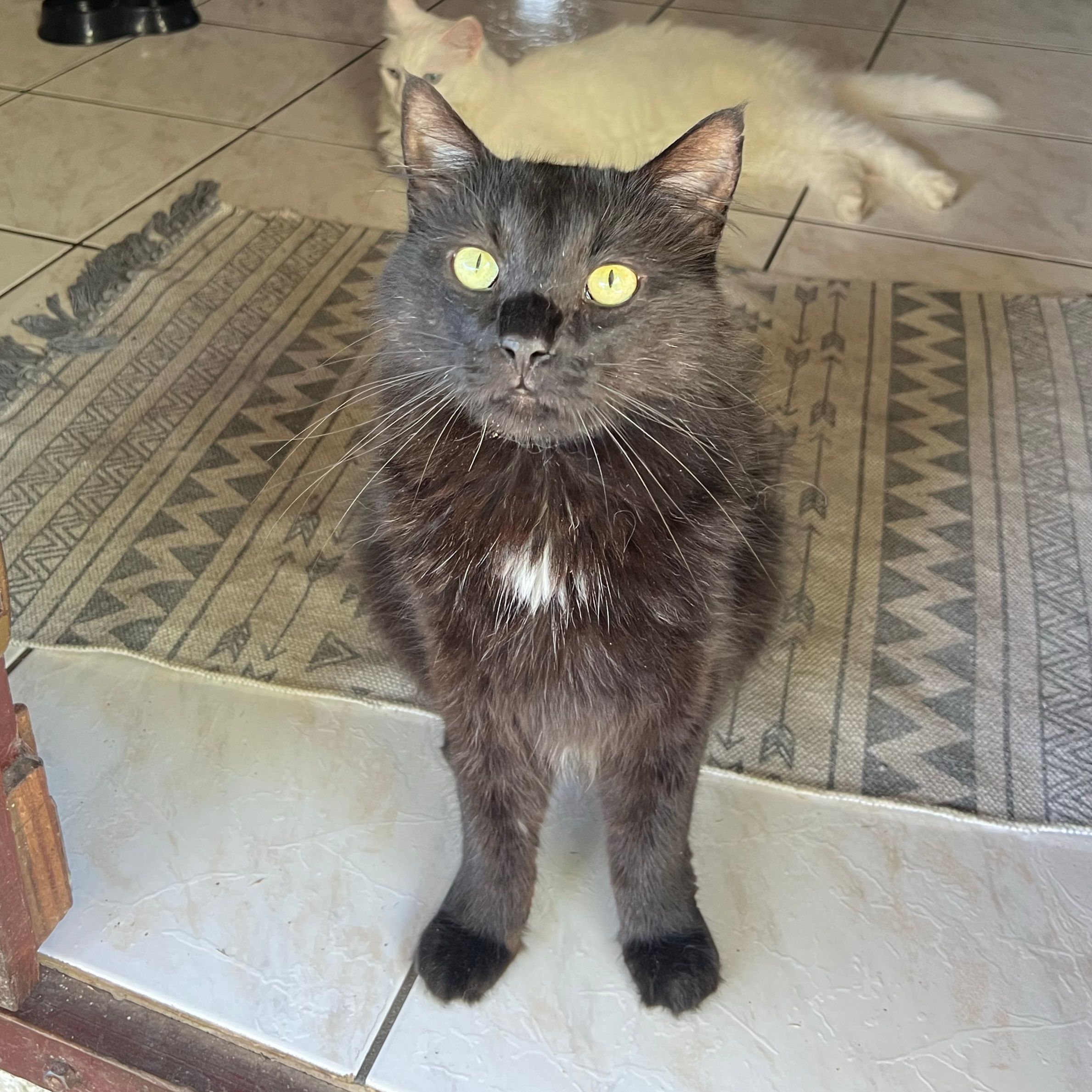 Sultan