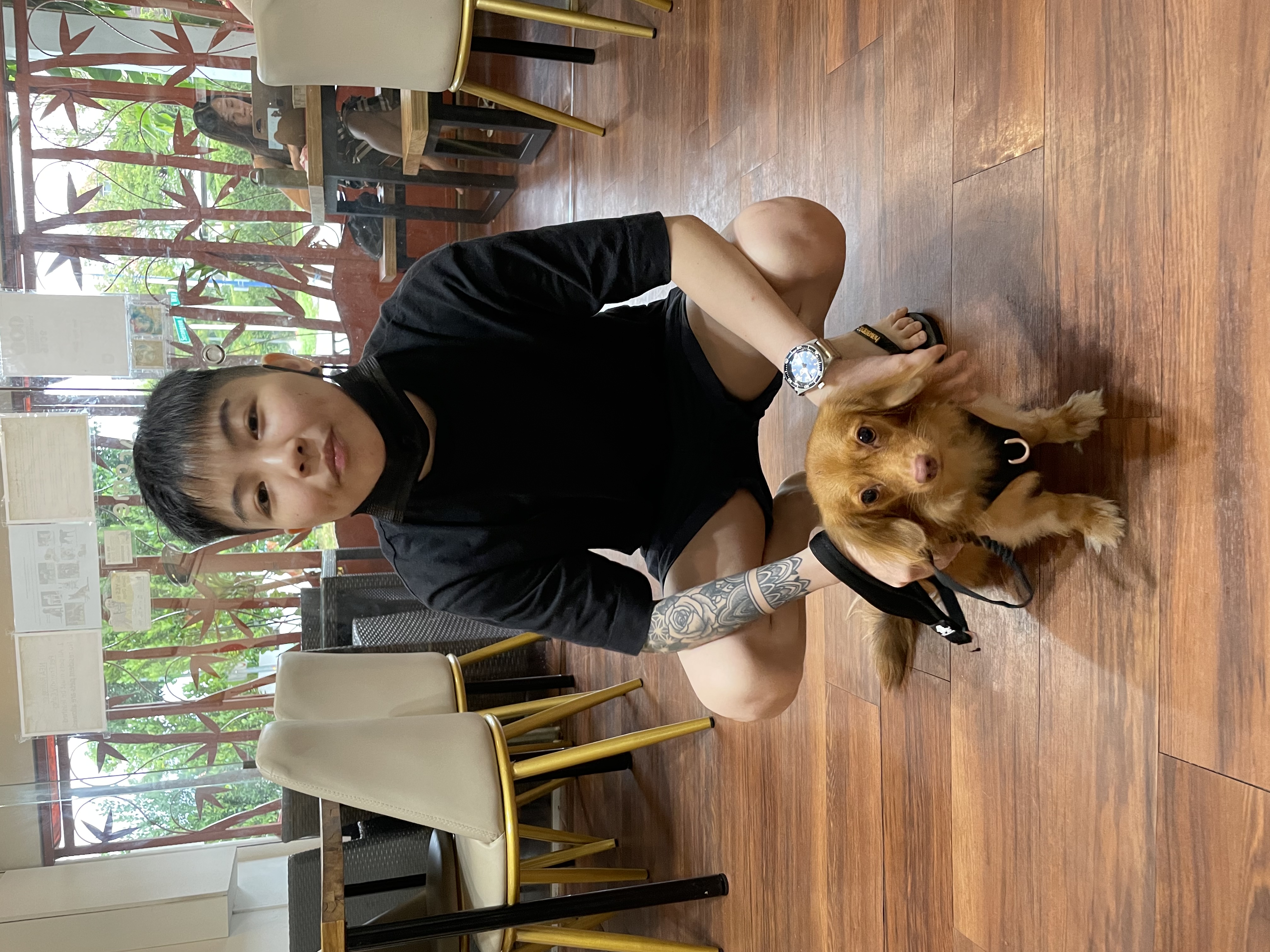 image-7