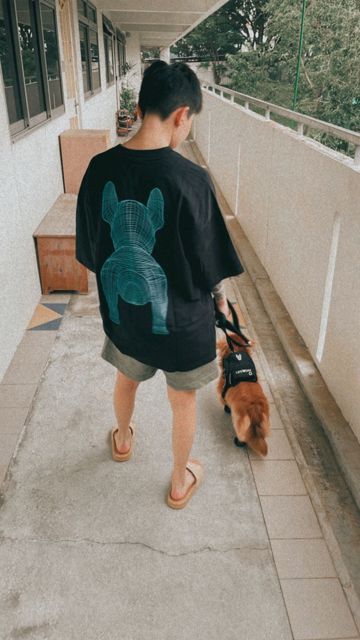 image-5