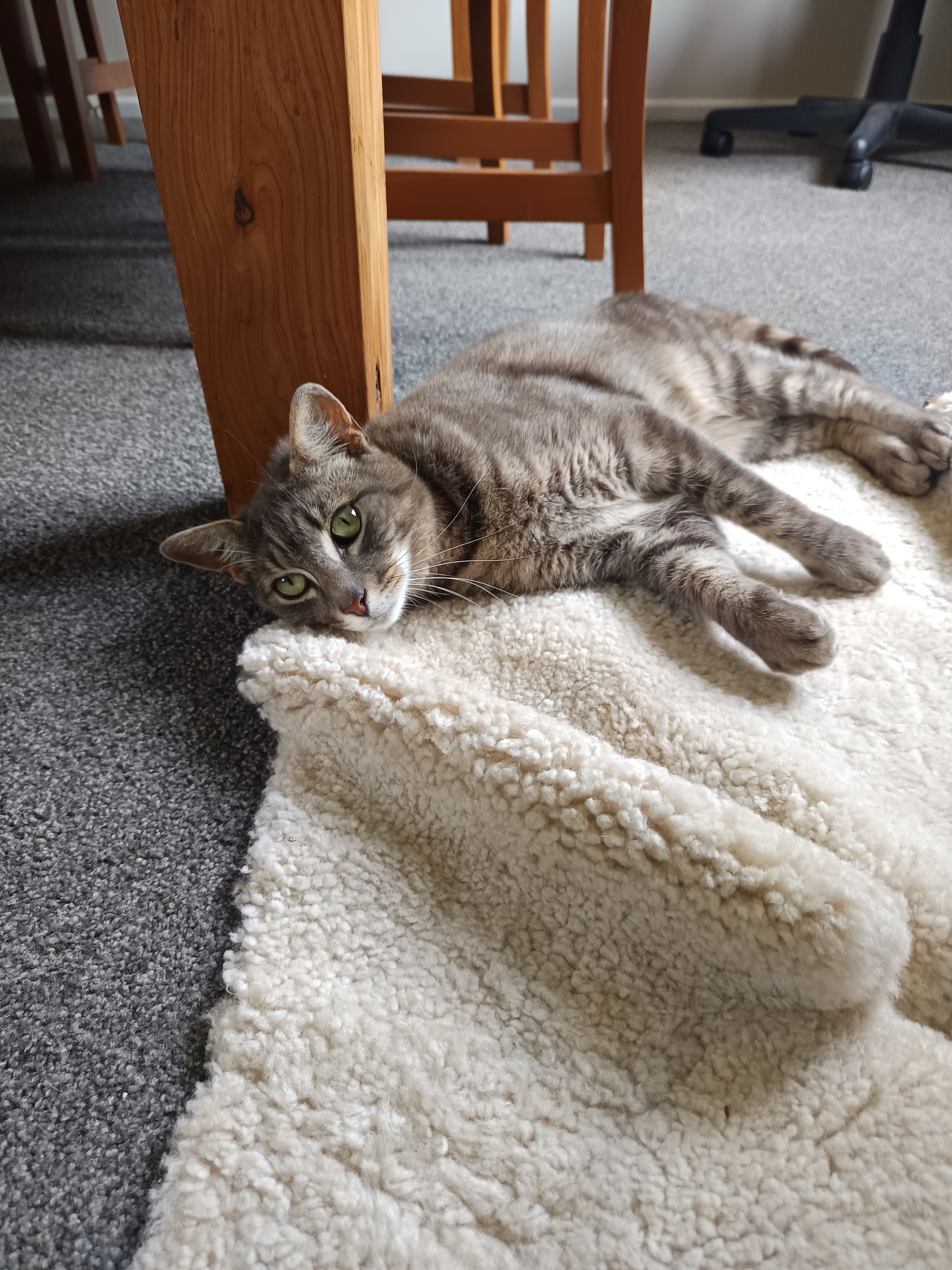image-14