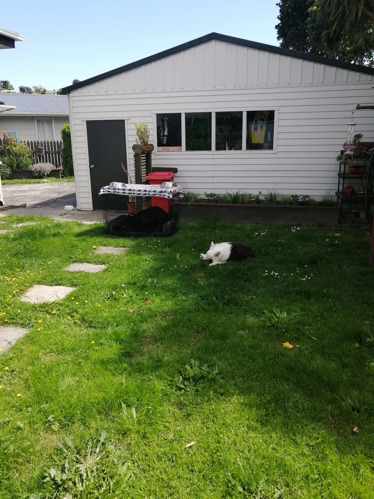 image-19