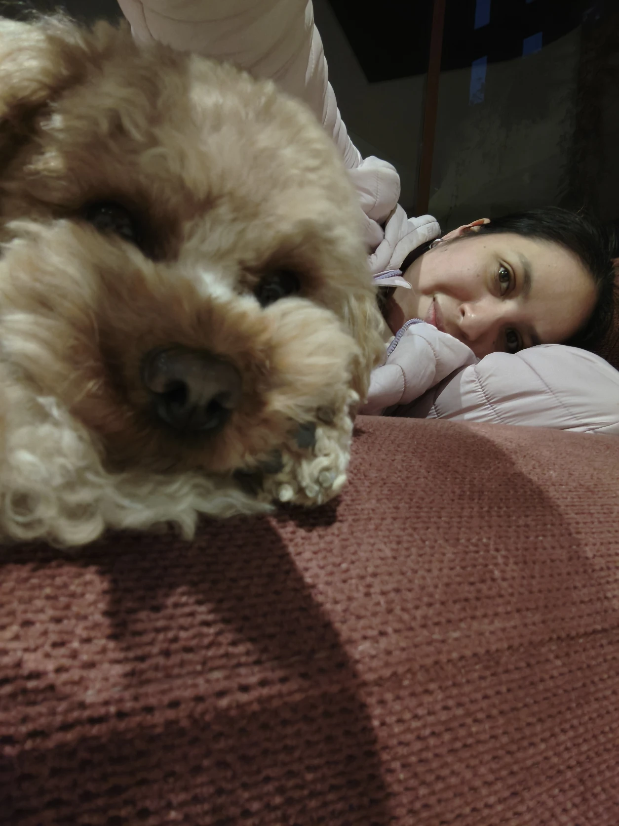 image-5
