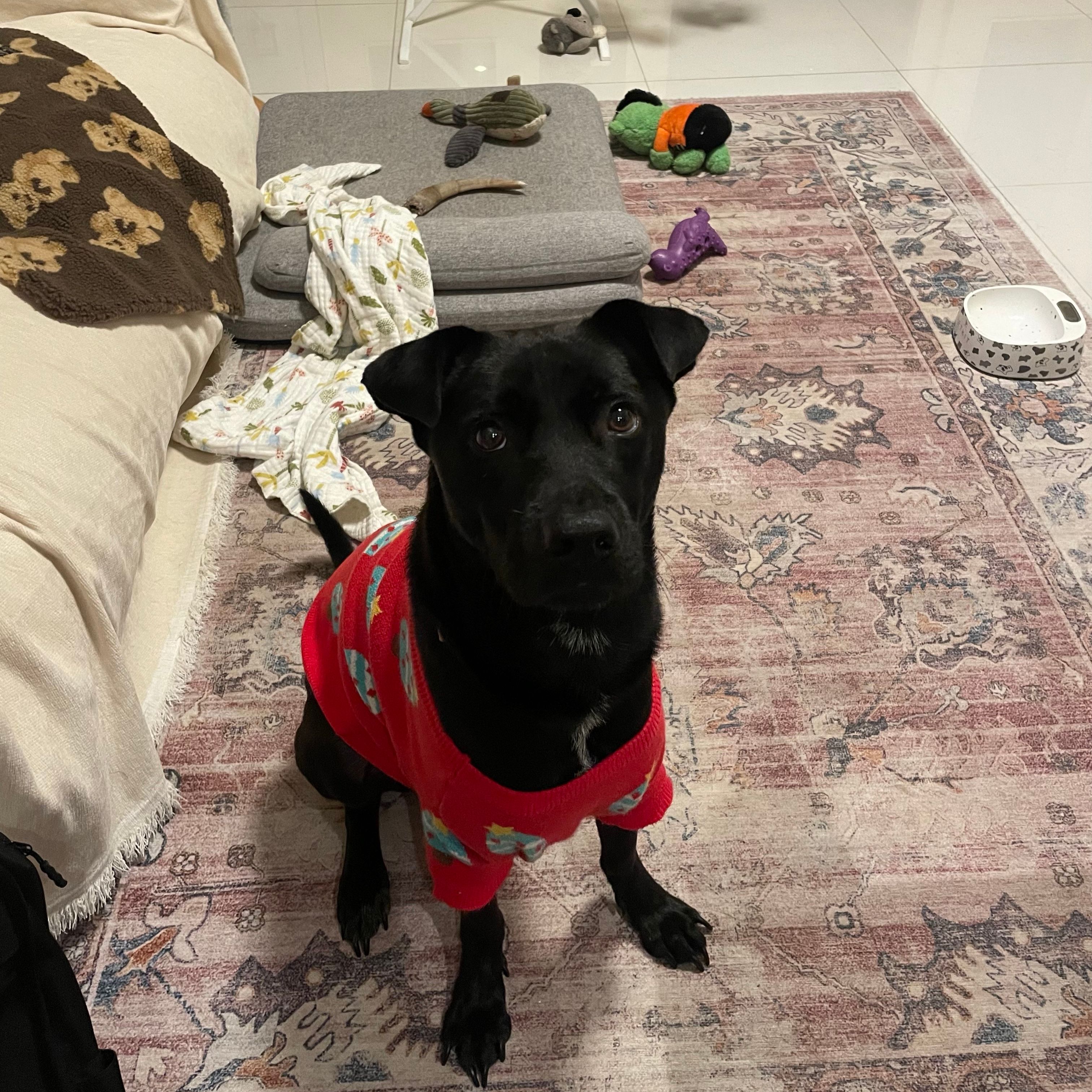 Archie