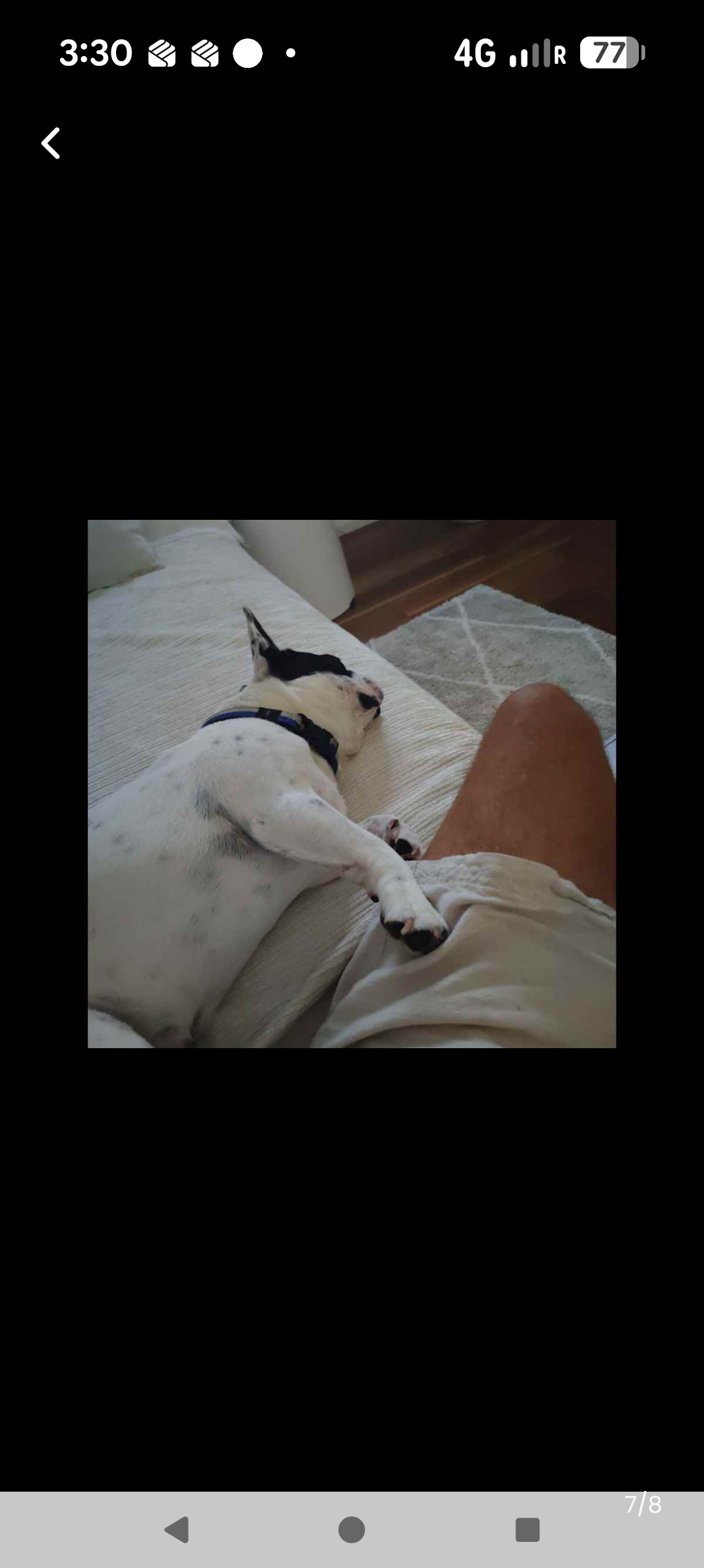 image-5