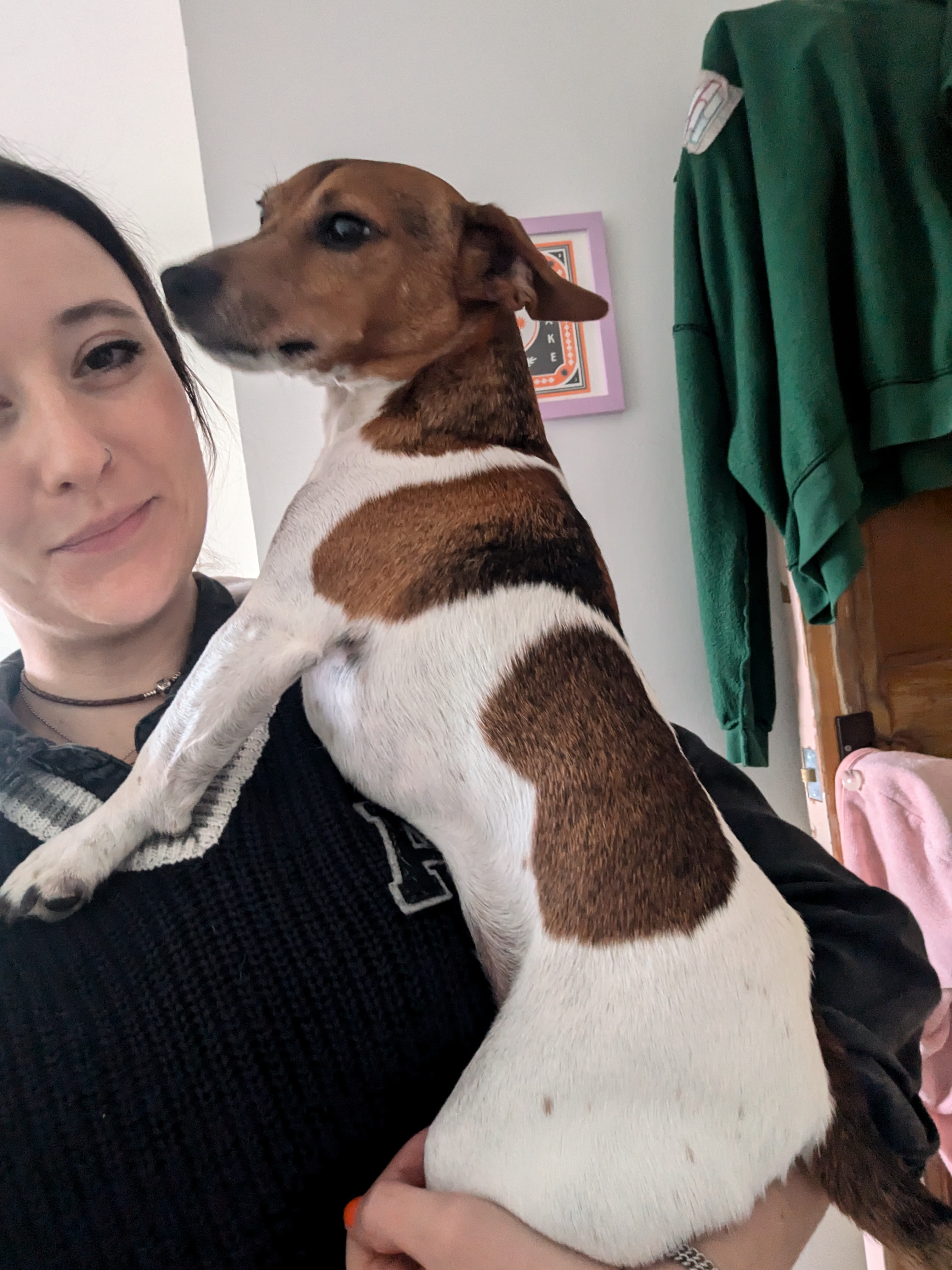 image-8