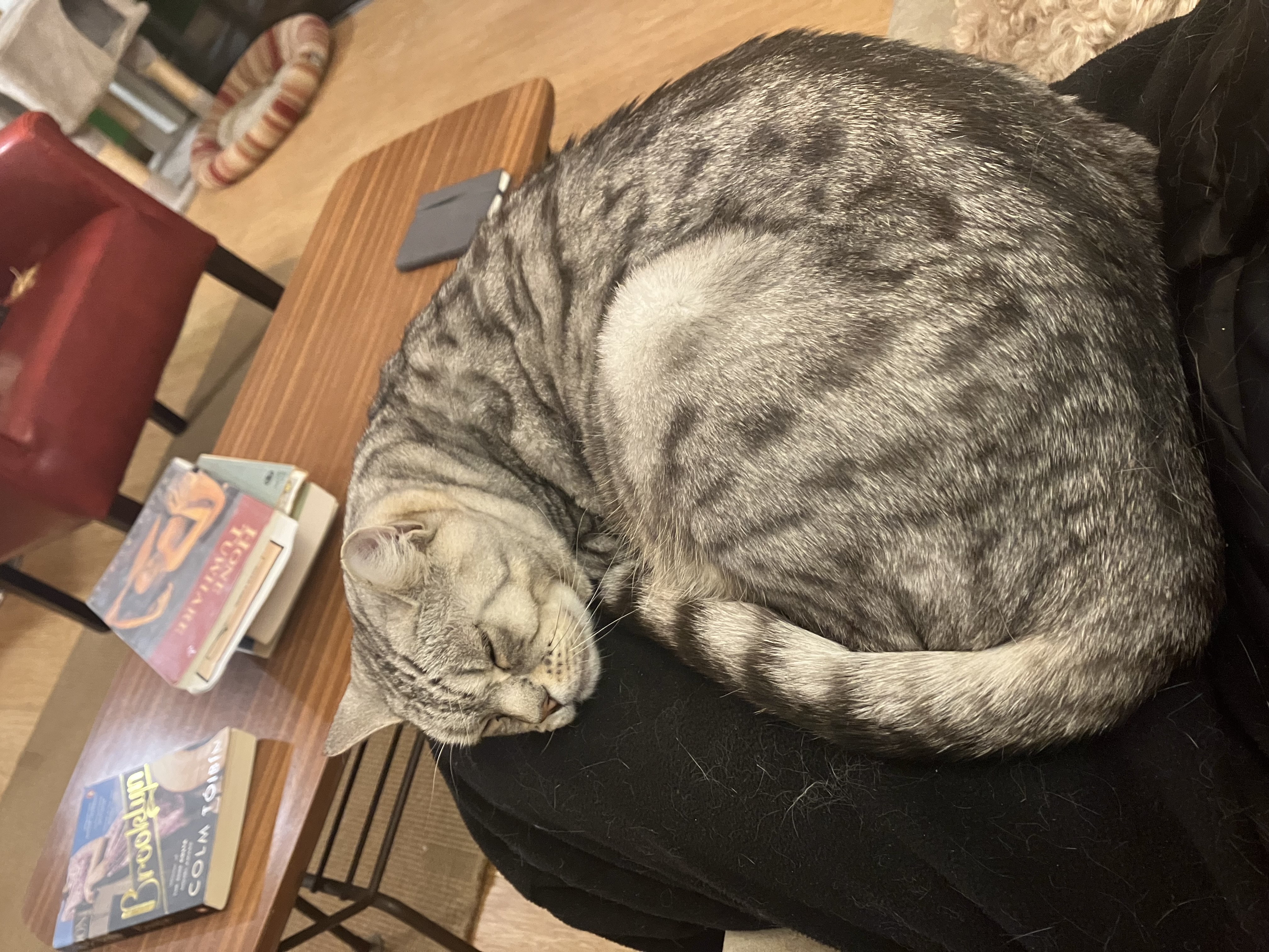 image-8