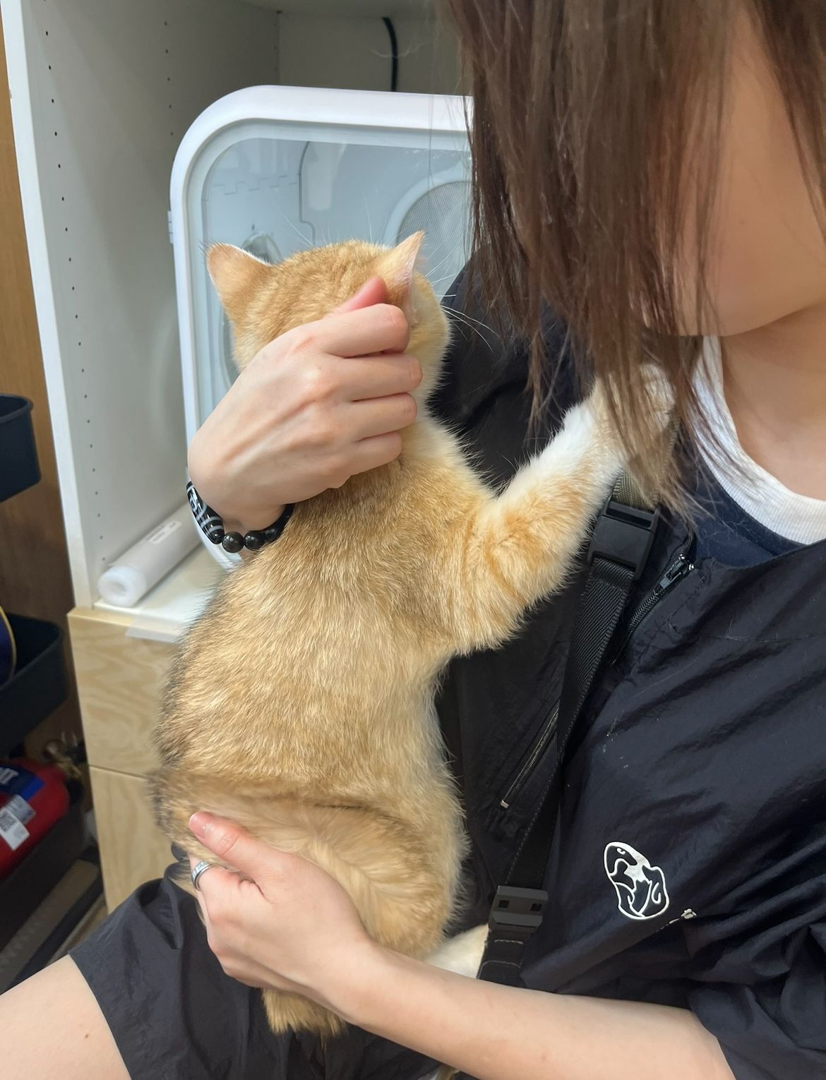 image-10