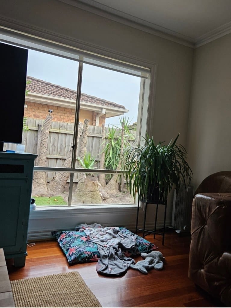 image-12