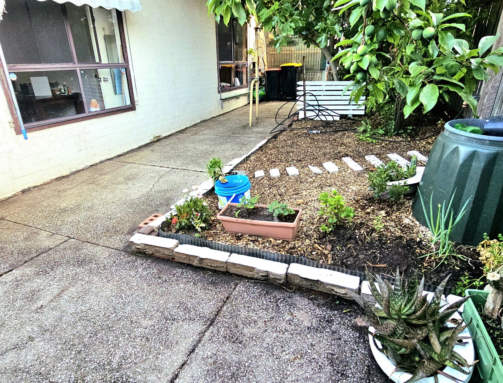 image-14