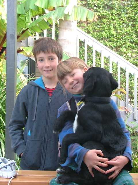 image-6
