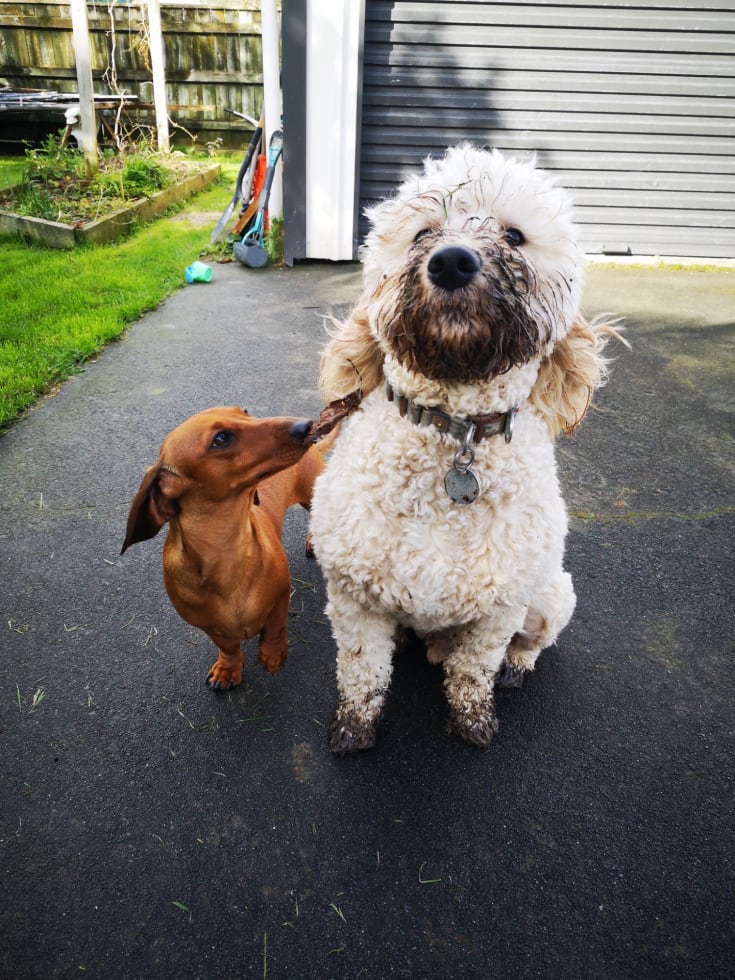 image-3