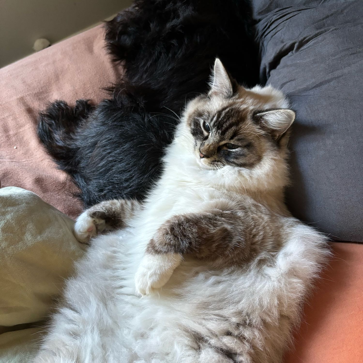 Charlie