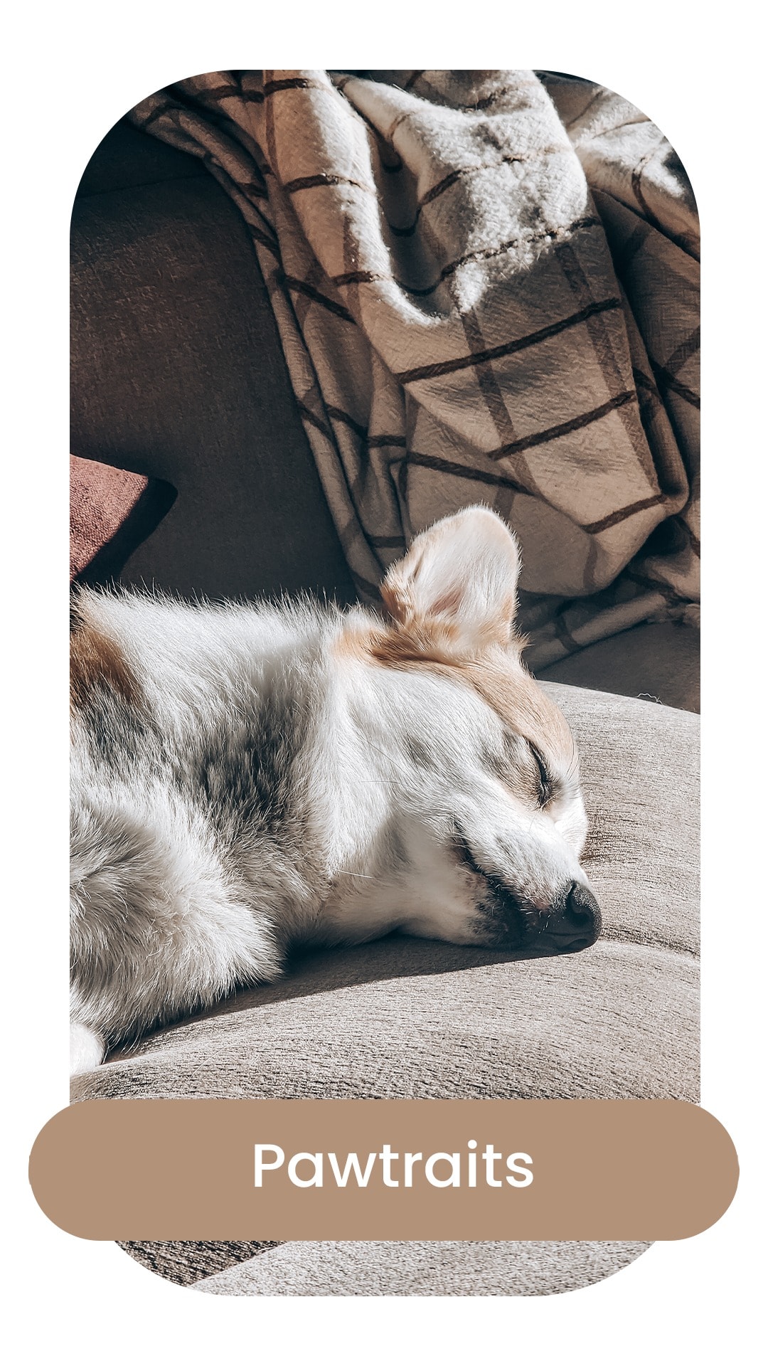 image-17