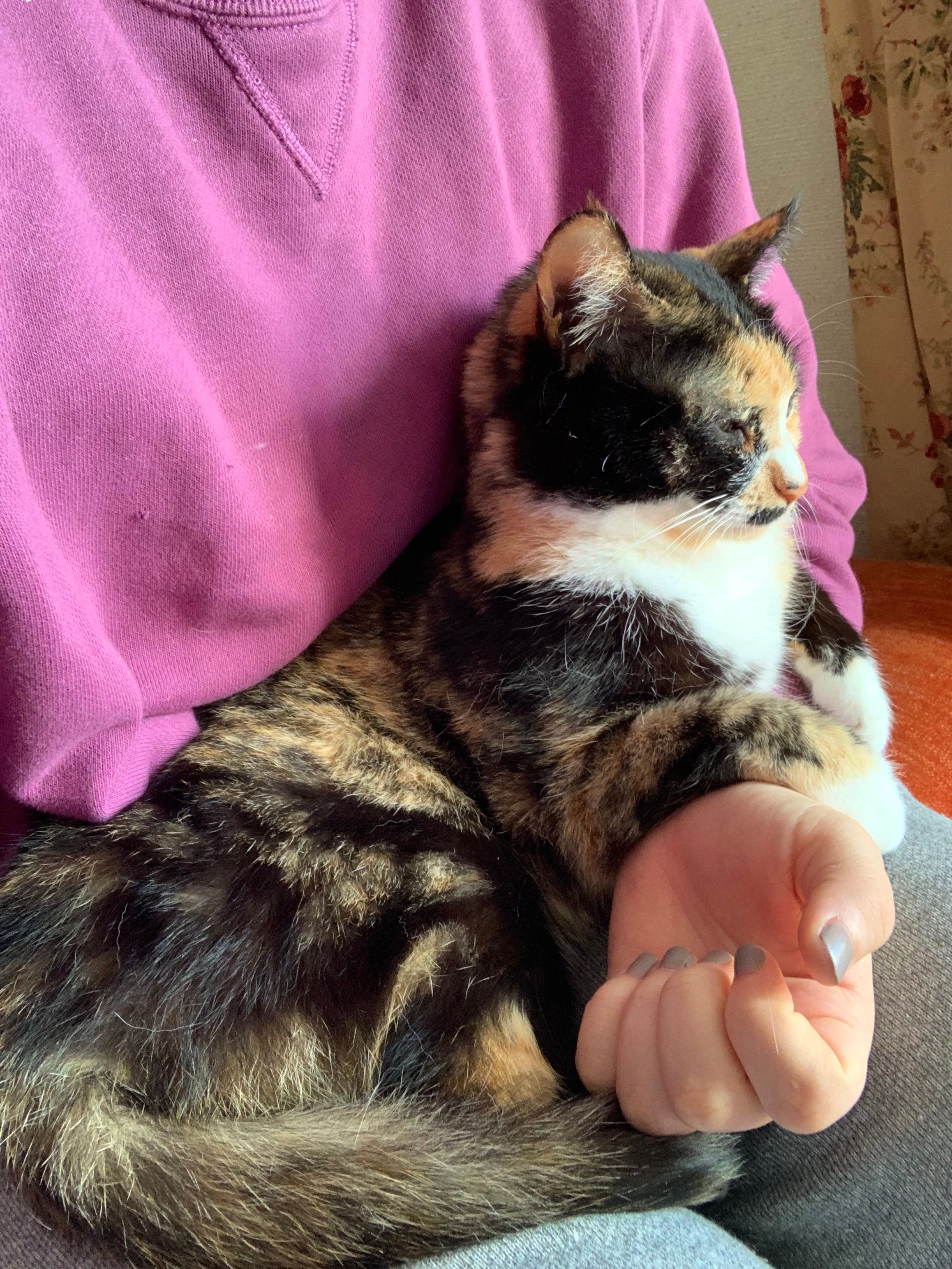 image-8