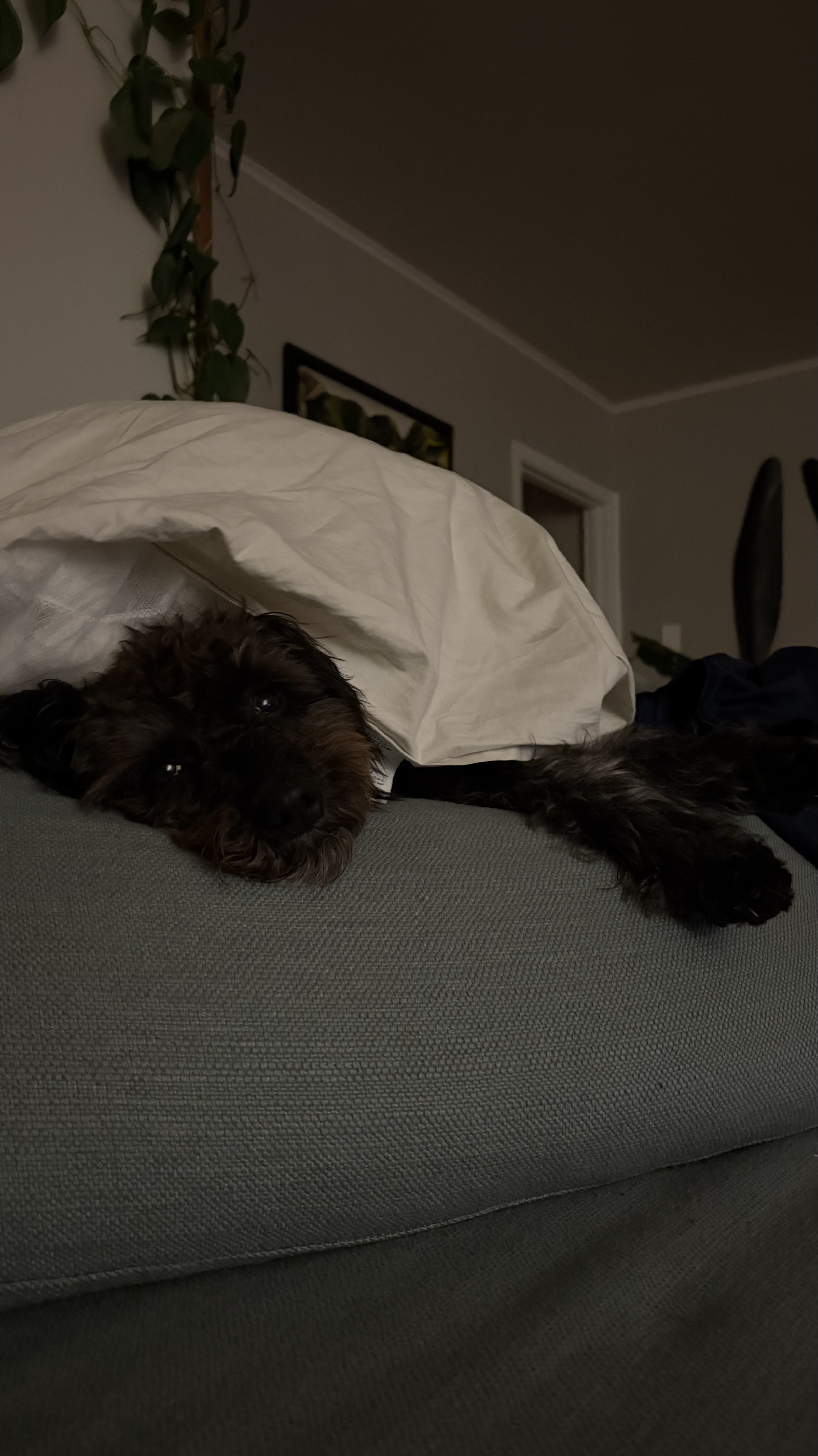 image-9