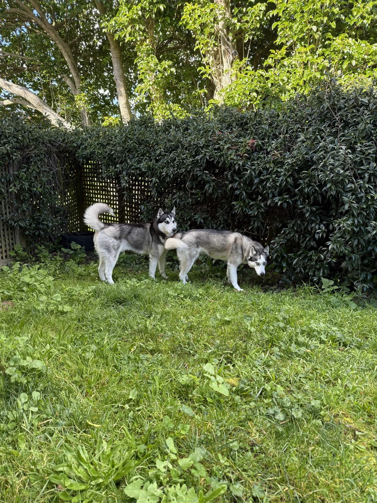 image-11