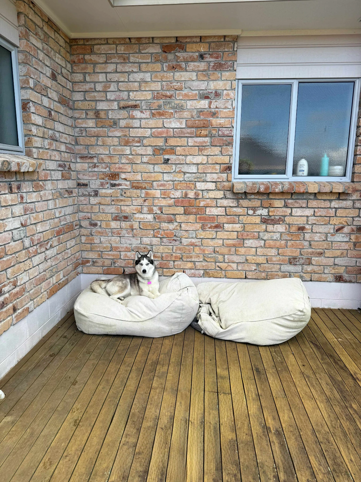 image-14