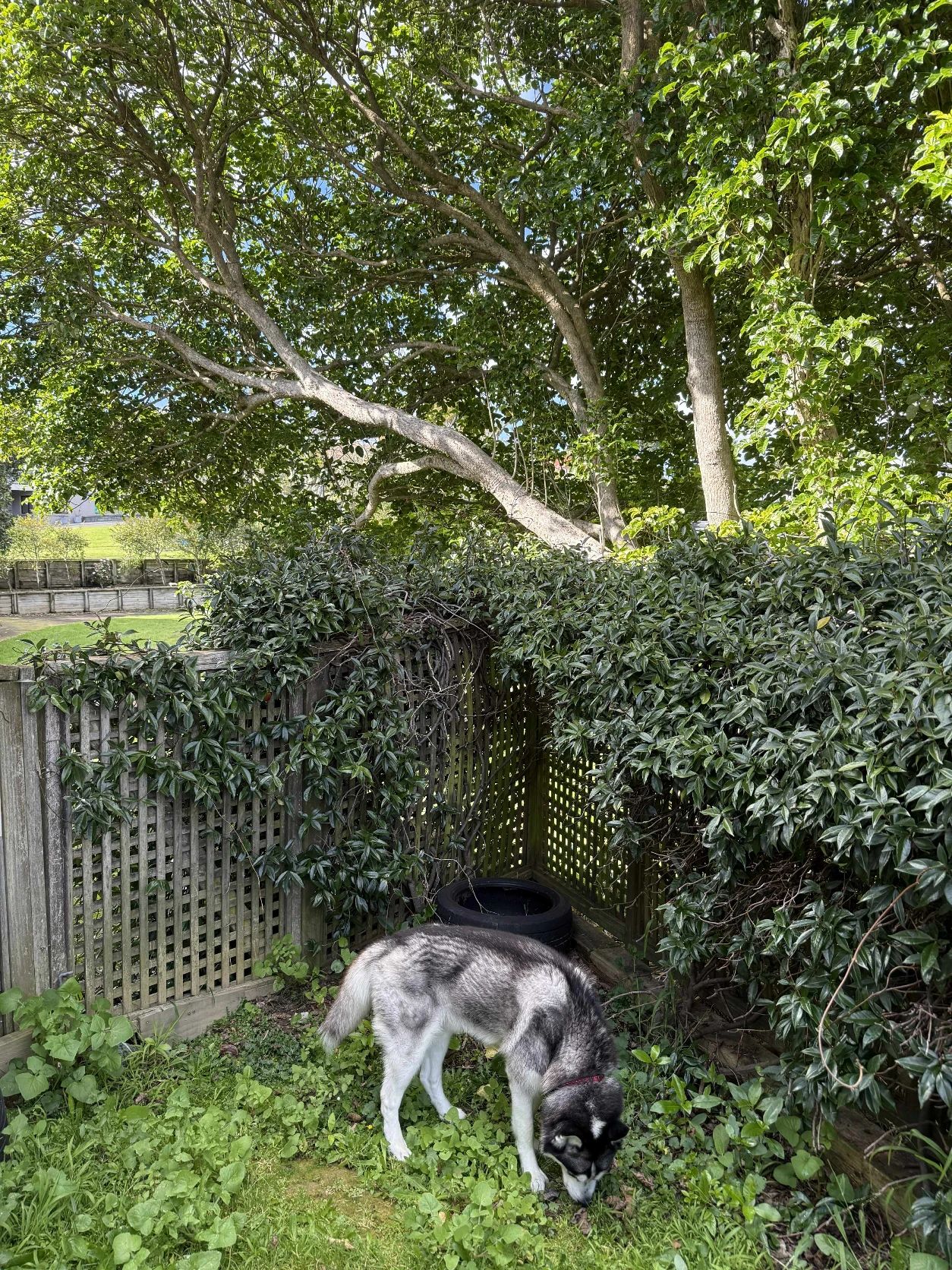 image-13