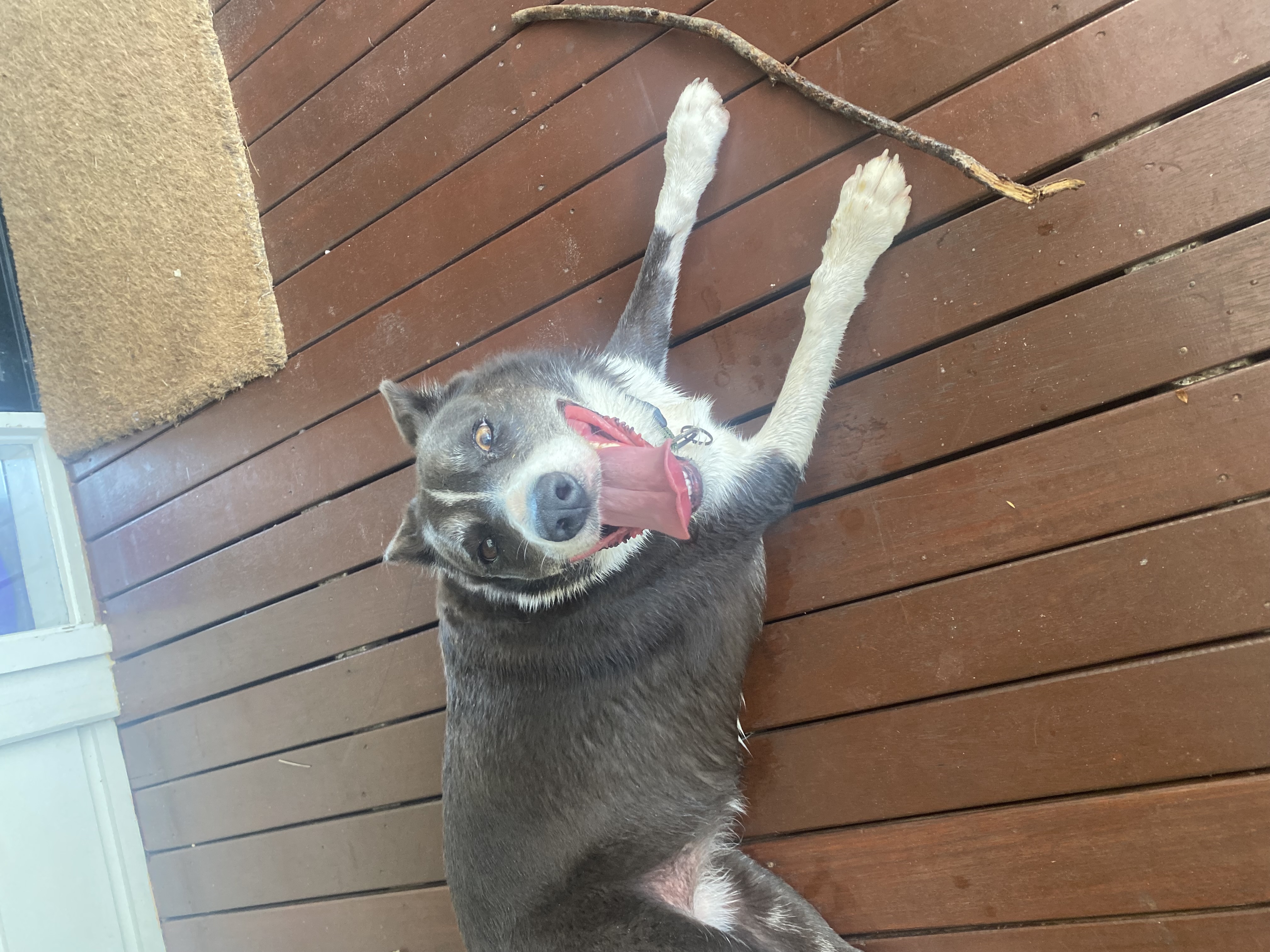 image-6